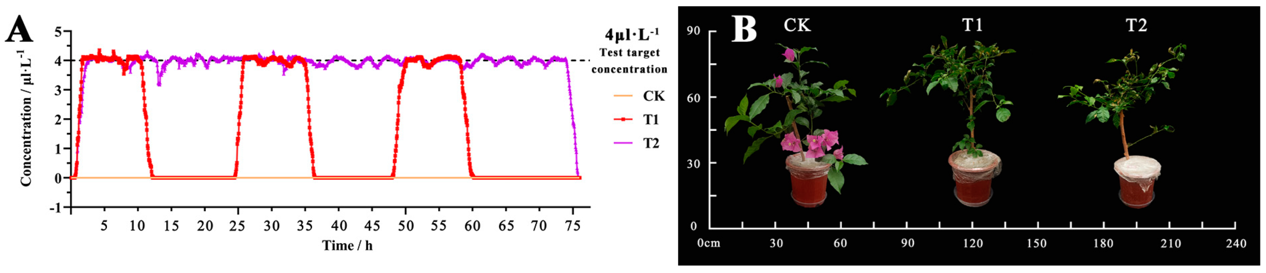 Plants 12 04028 g001 Plants 12 04028 g001