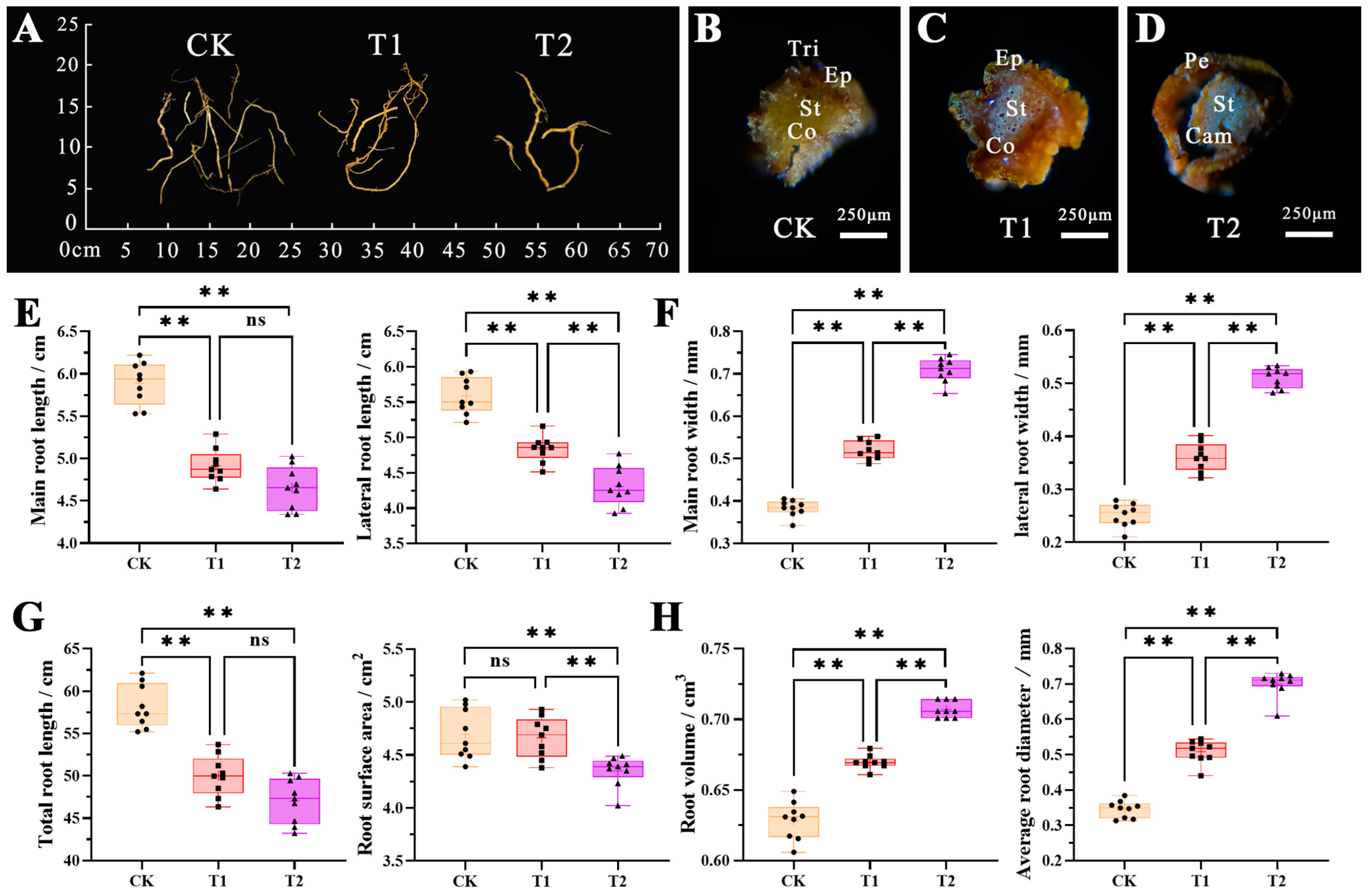 Plants 12 04028 g002 Plants 12 04028 g002