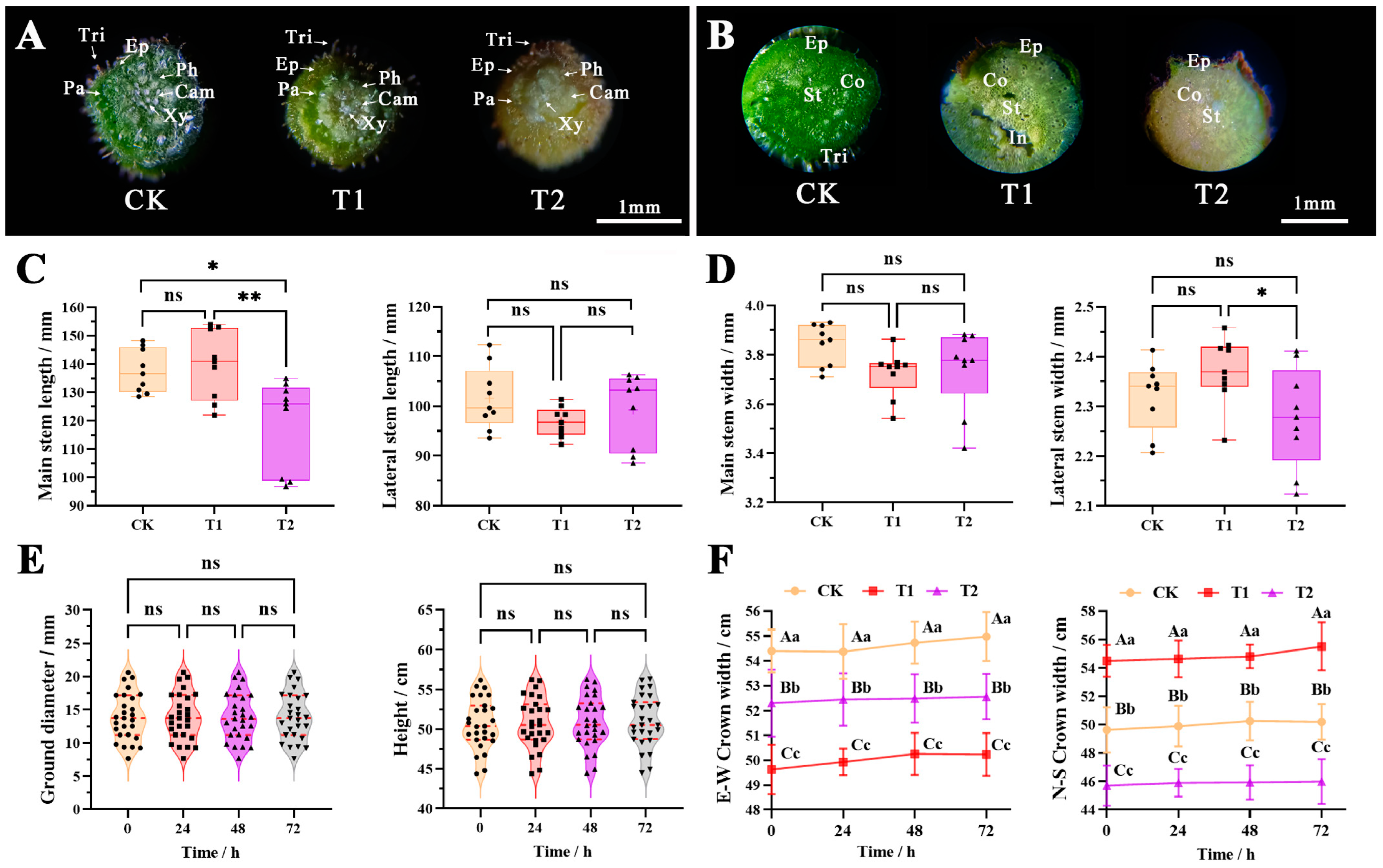 Plants 12 04028 g003 Plants 12 04028 g003