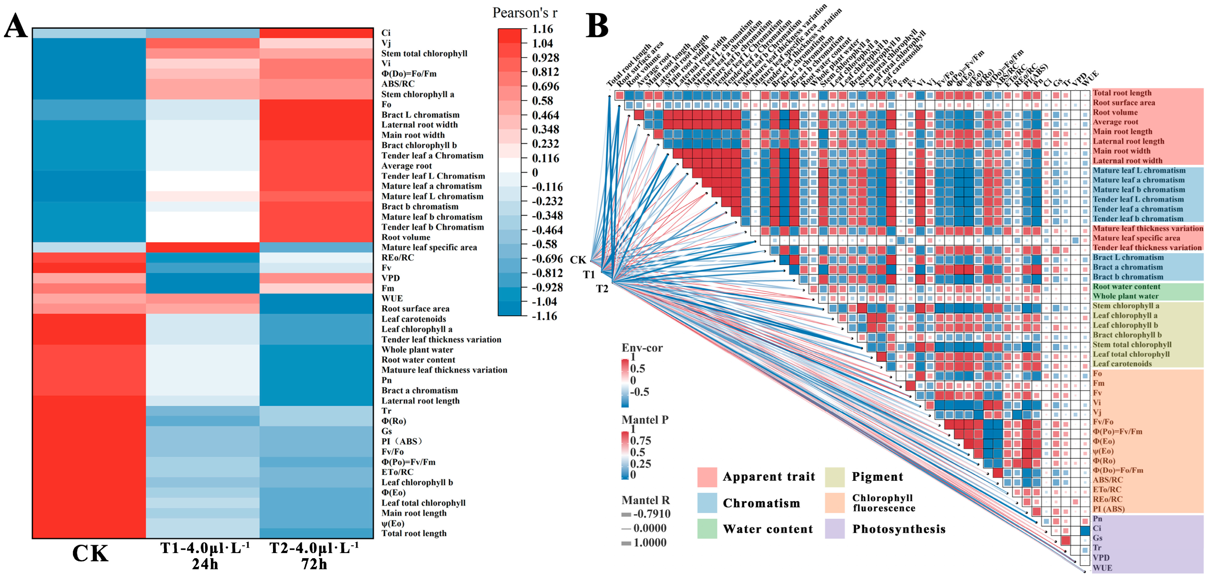 Plants 12 04028 g009 Plants 12 04028 g009