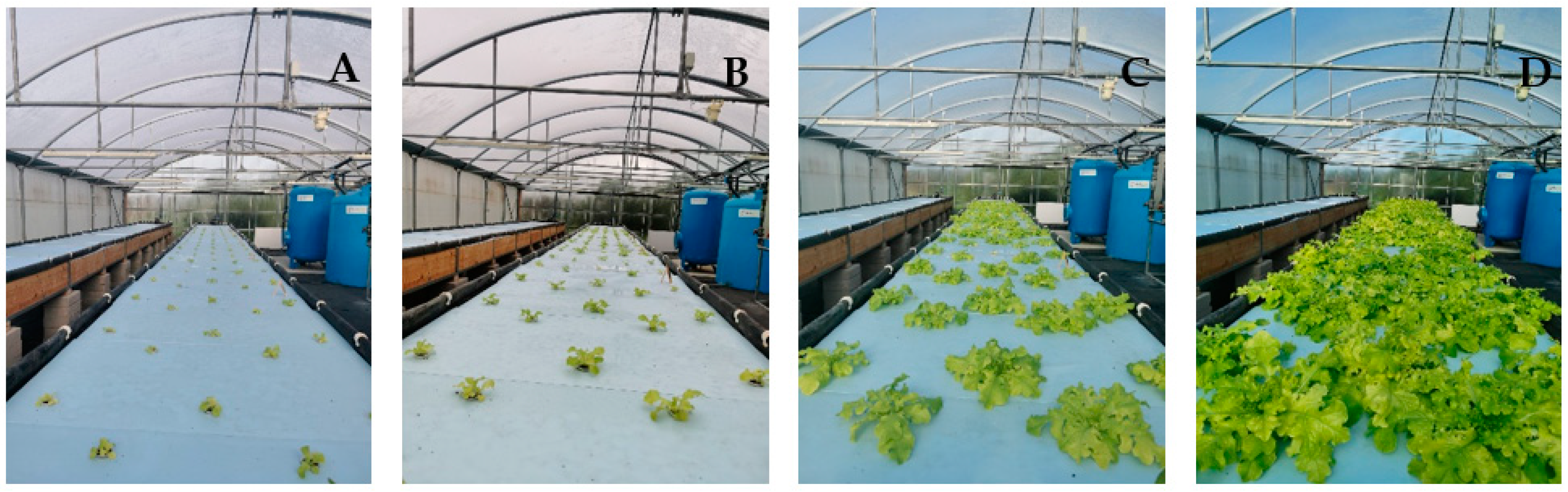 Plants 12 04030 g001