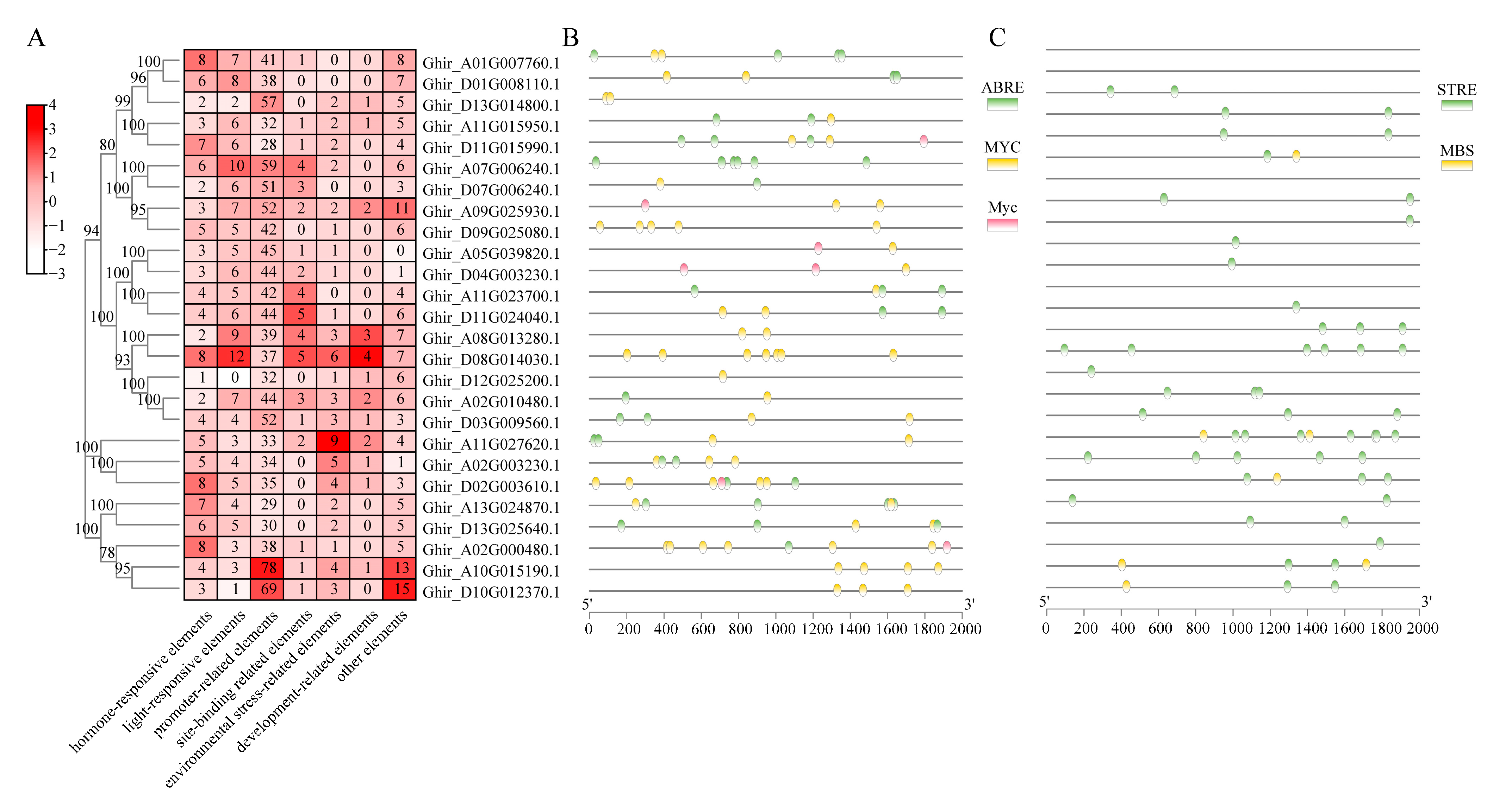 Plants 12 04036 g003