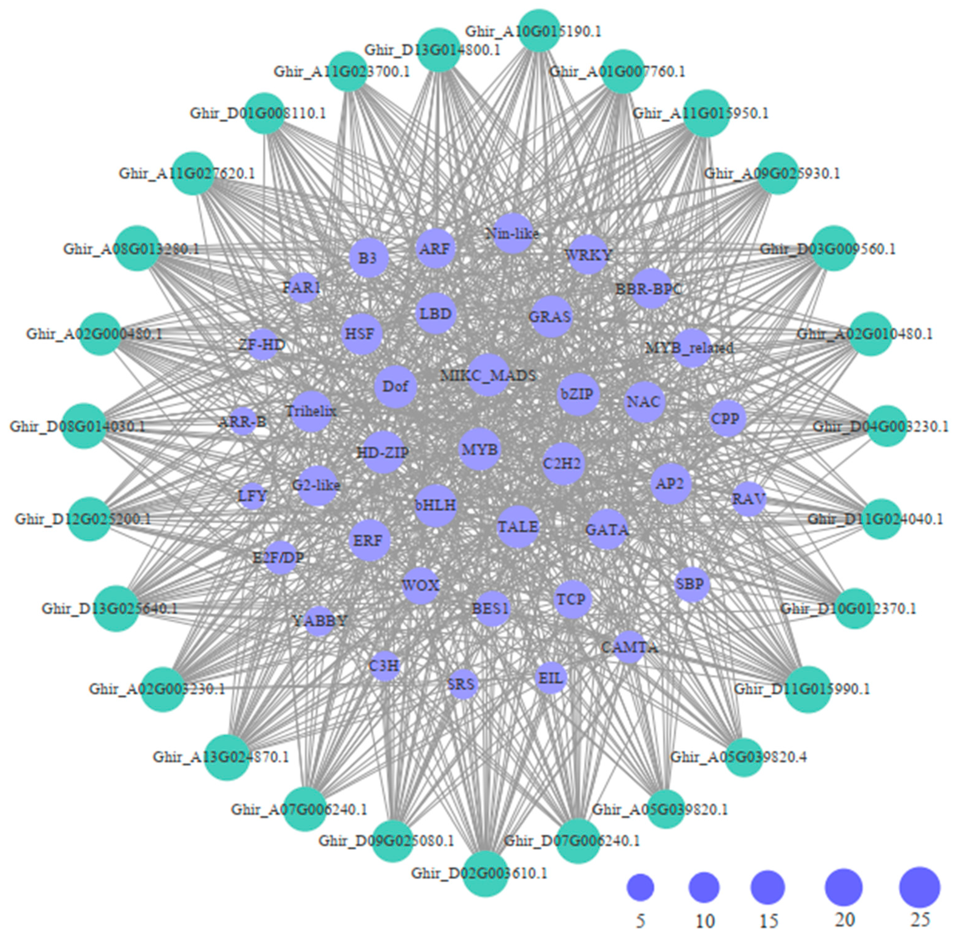Plants 12 04036 g004
