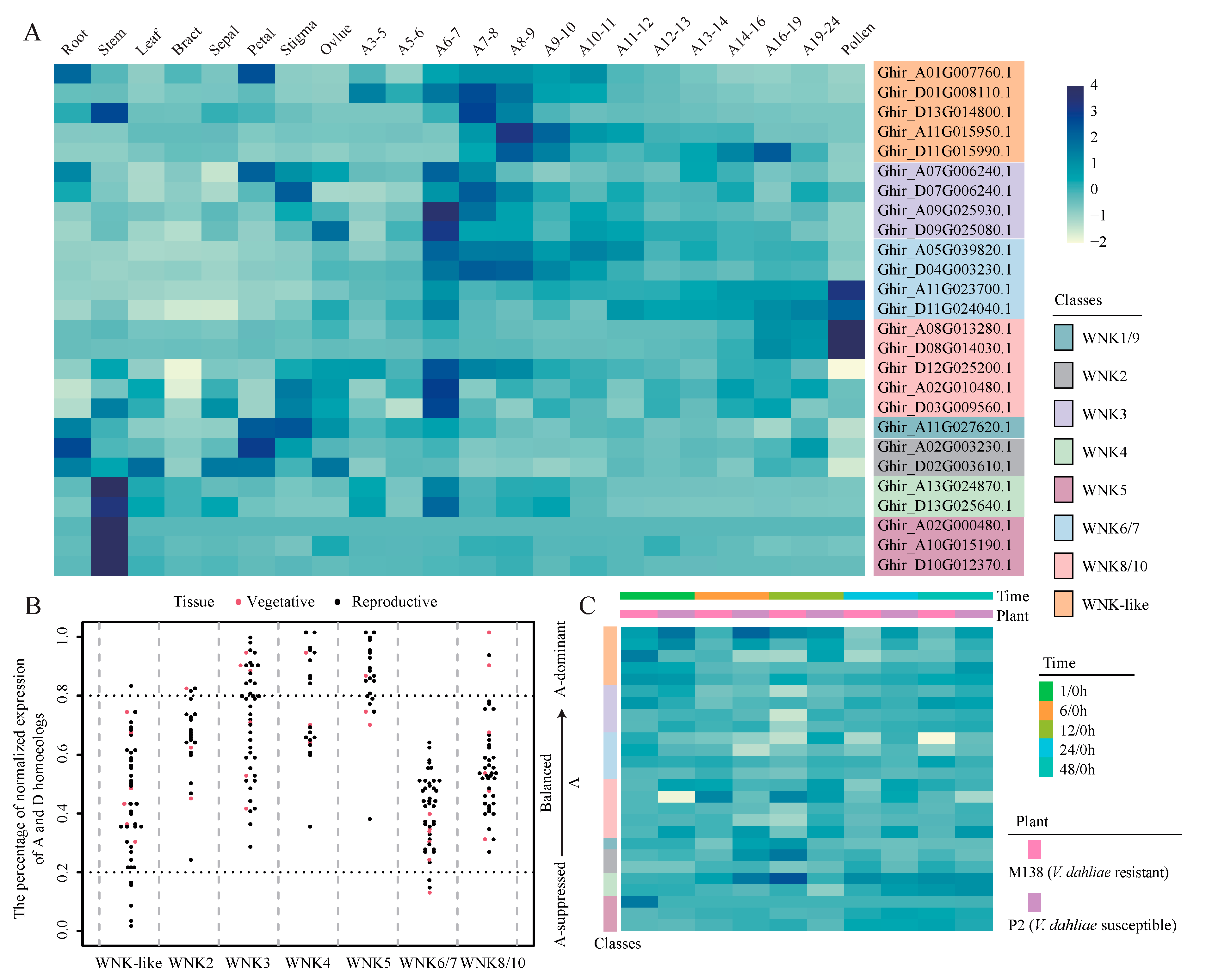 Plants 12 04036 g005
