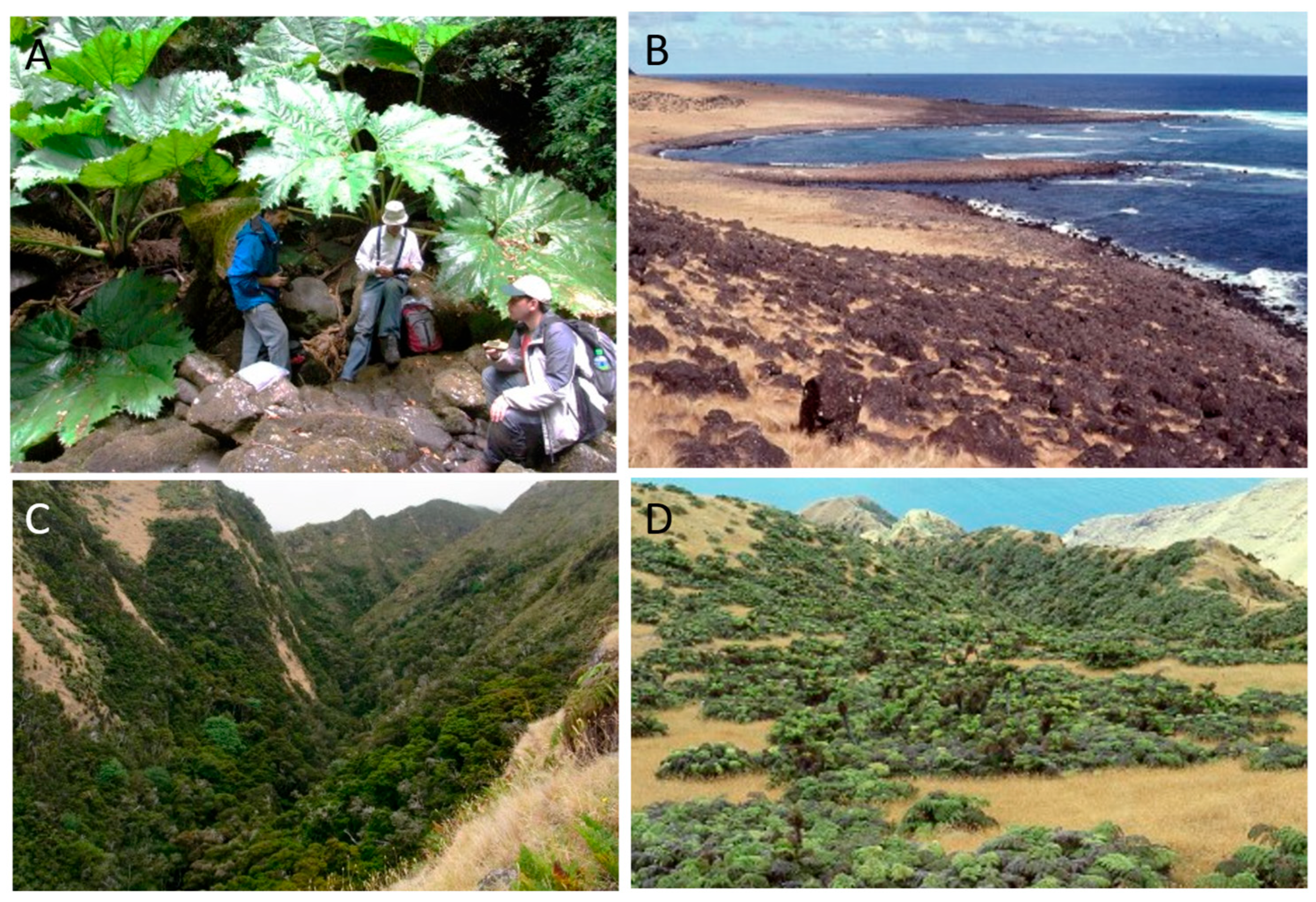 Plants 12 04038 g004