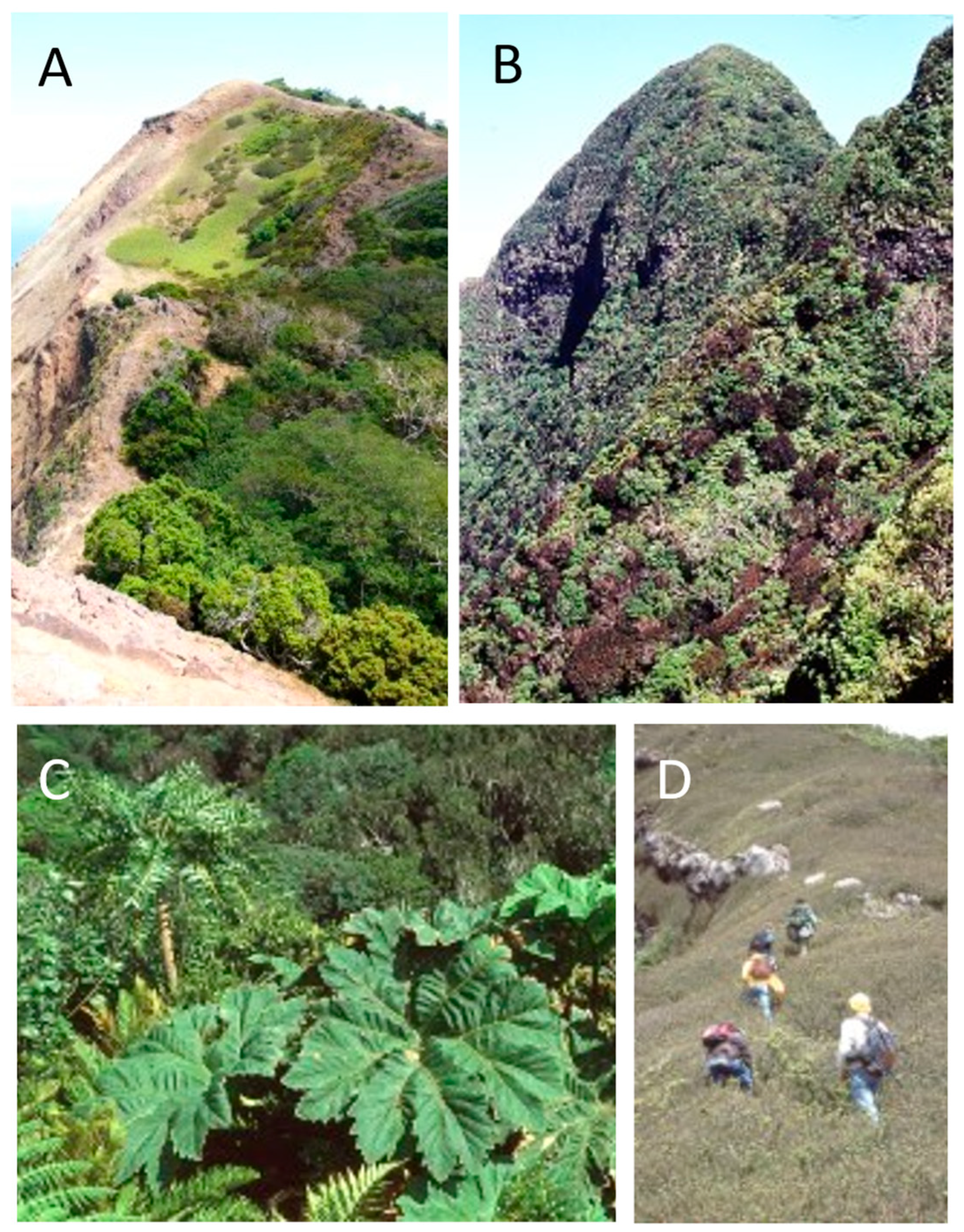 Plants 12 04038 g005