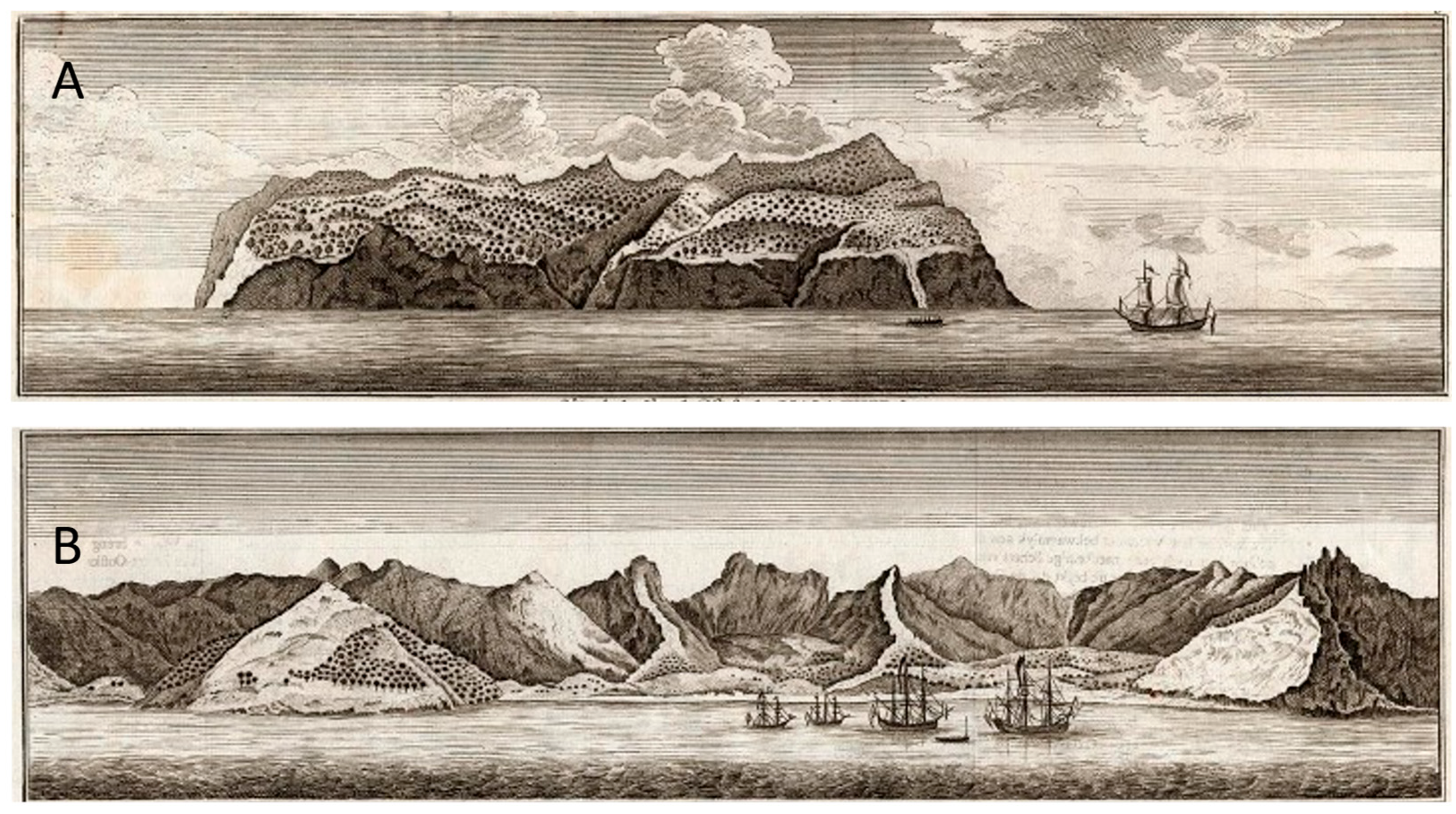 Plants 12 04038 g008