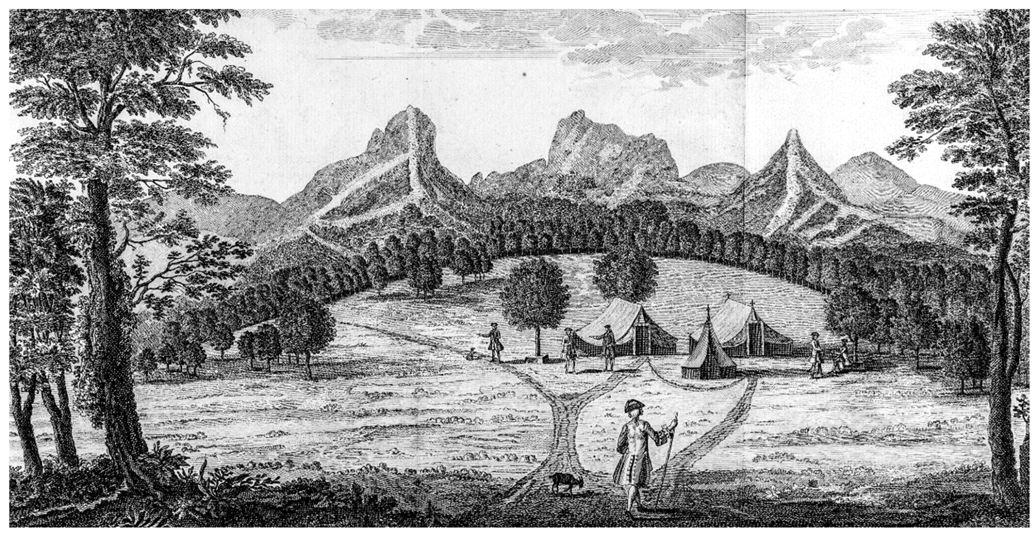 Plants 12 04038 g009