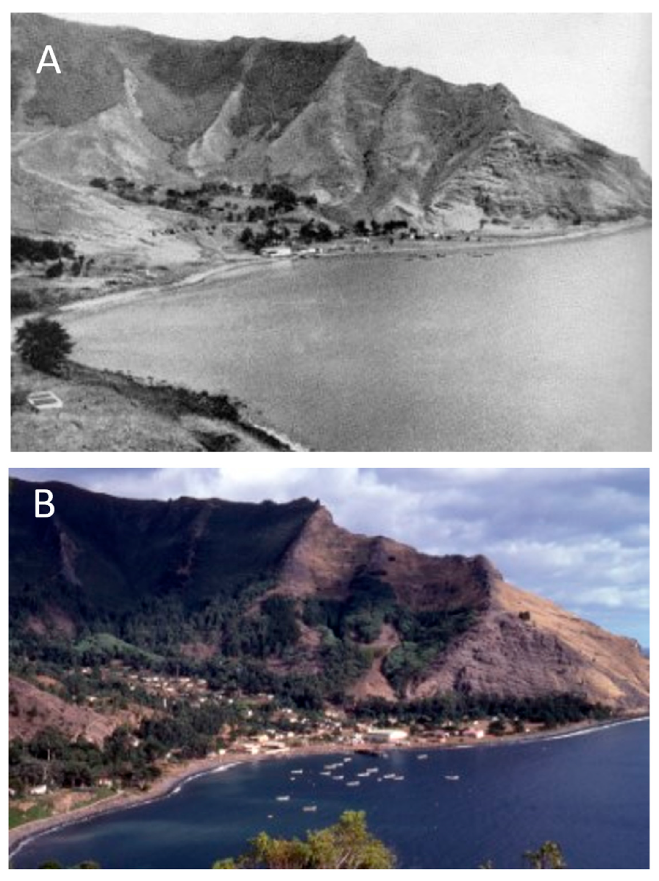 Plants 12 04038 g012