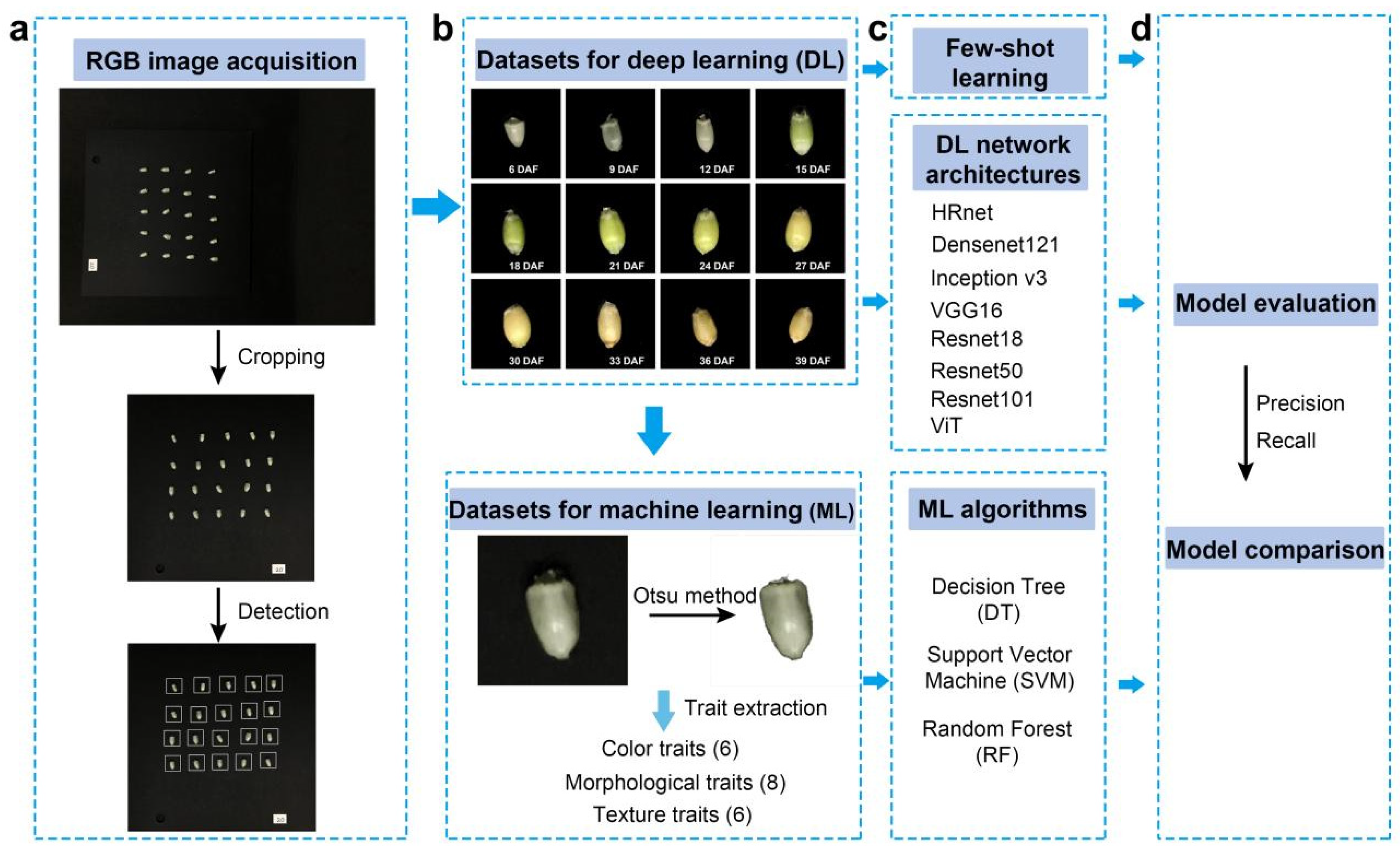 Plants 12 04043 g008