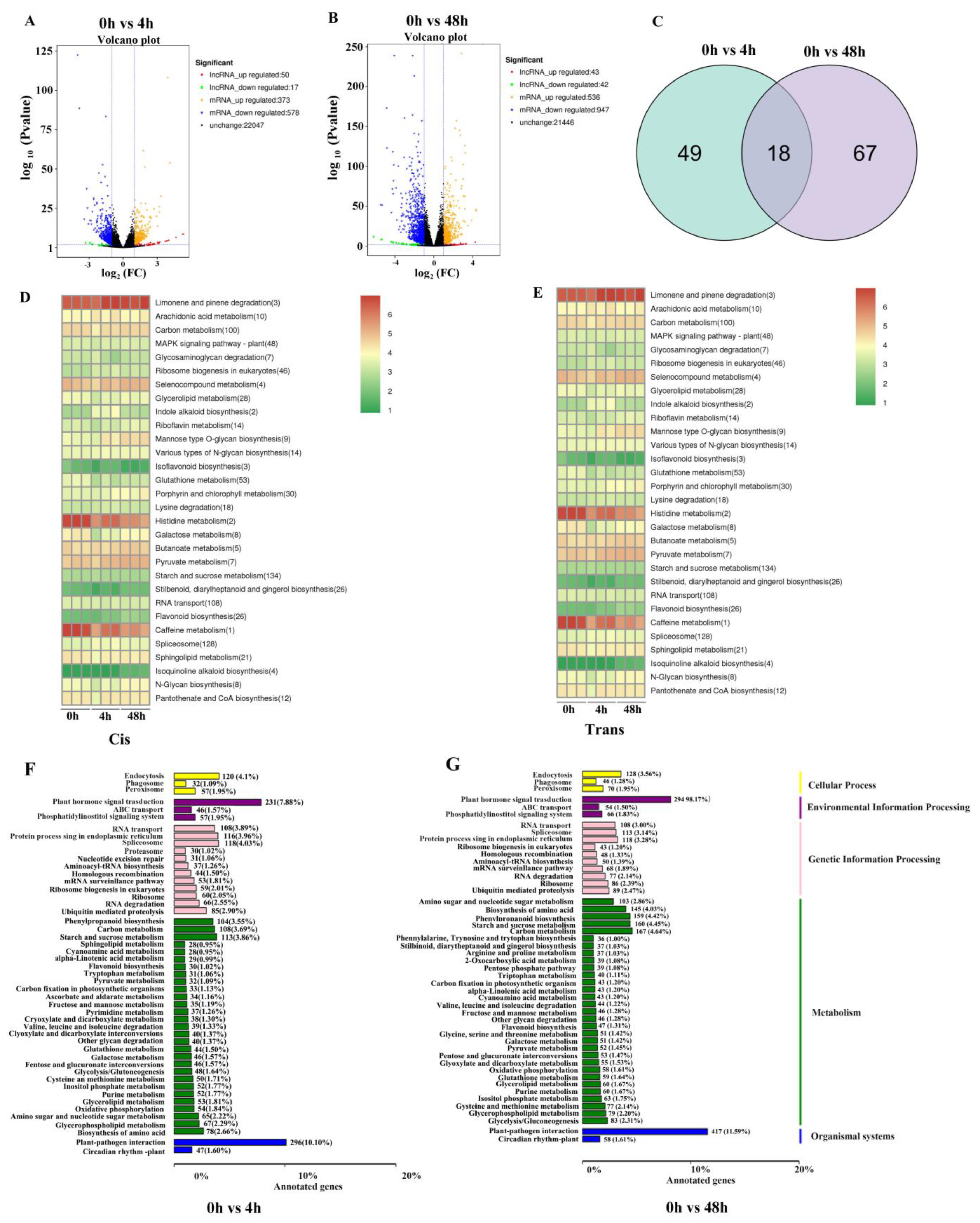 Plants 12 04047 g003