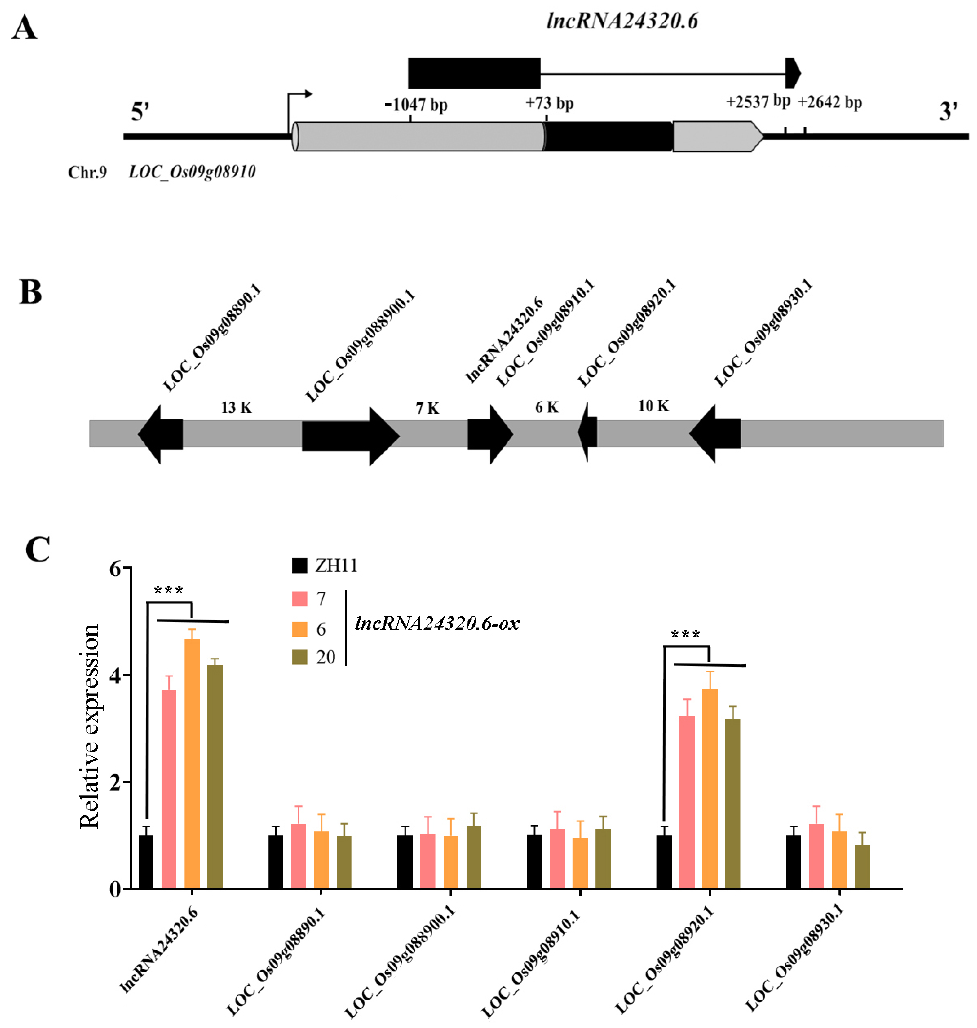 Plants 12 04047 g004
