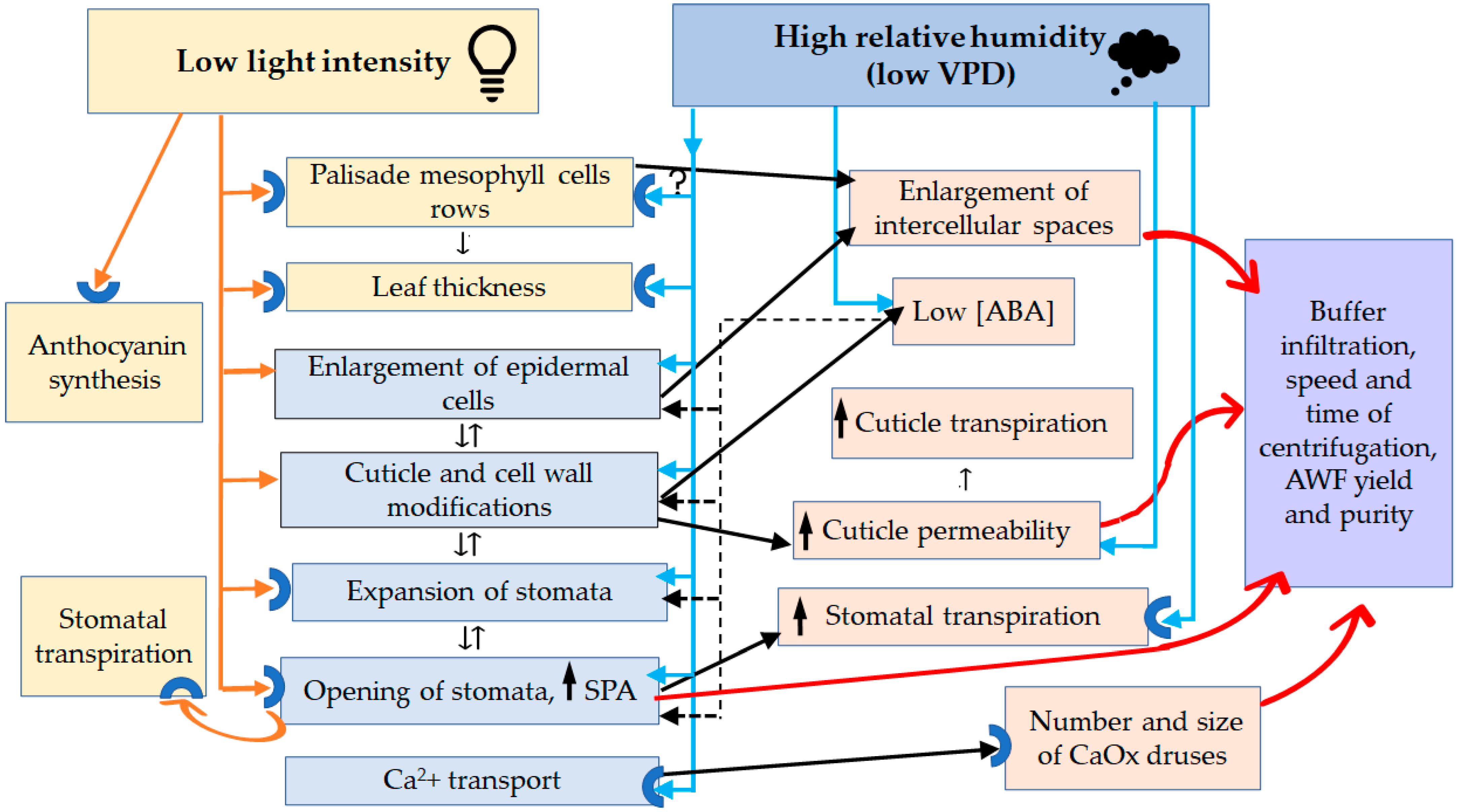 Plants 12 04048 g013