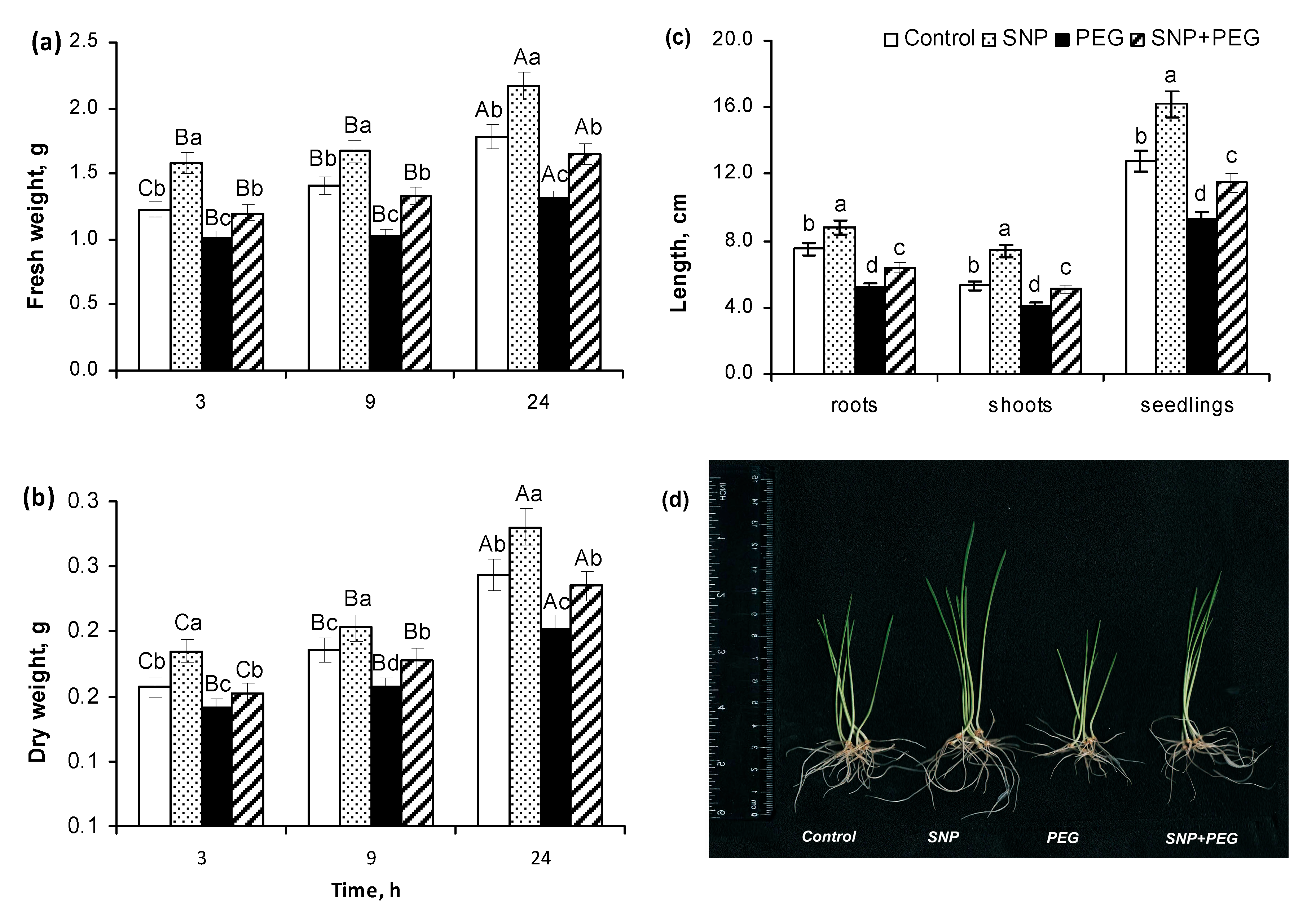 Plants 12 04051 g002
