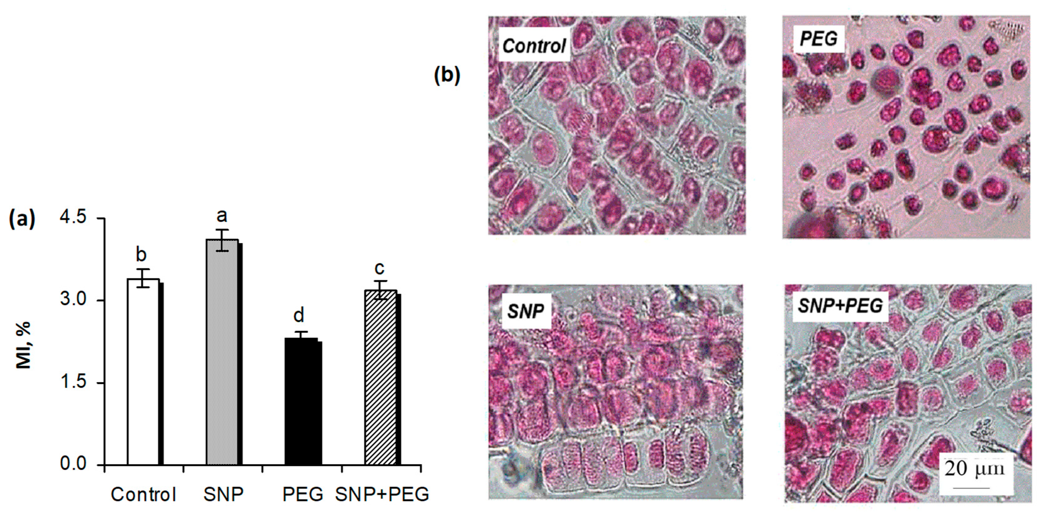 Plants 12 04051 g003