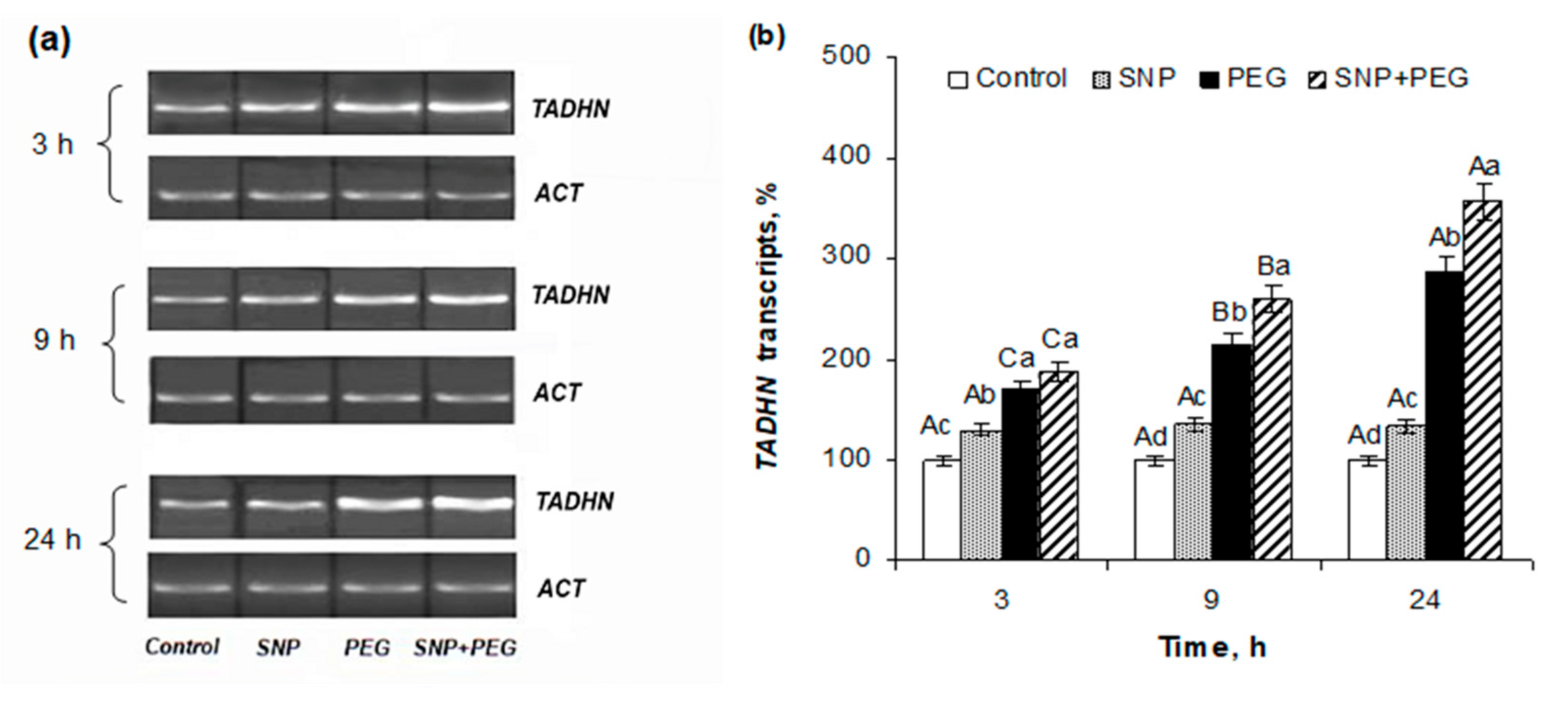 Plants 12 04051 g006