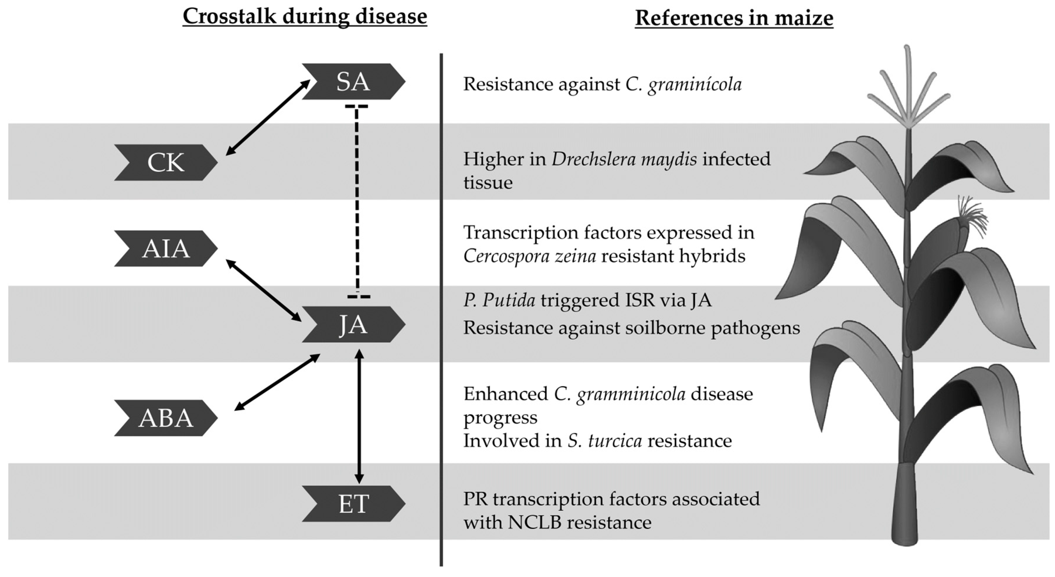 Plants 12 04082 g003