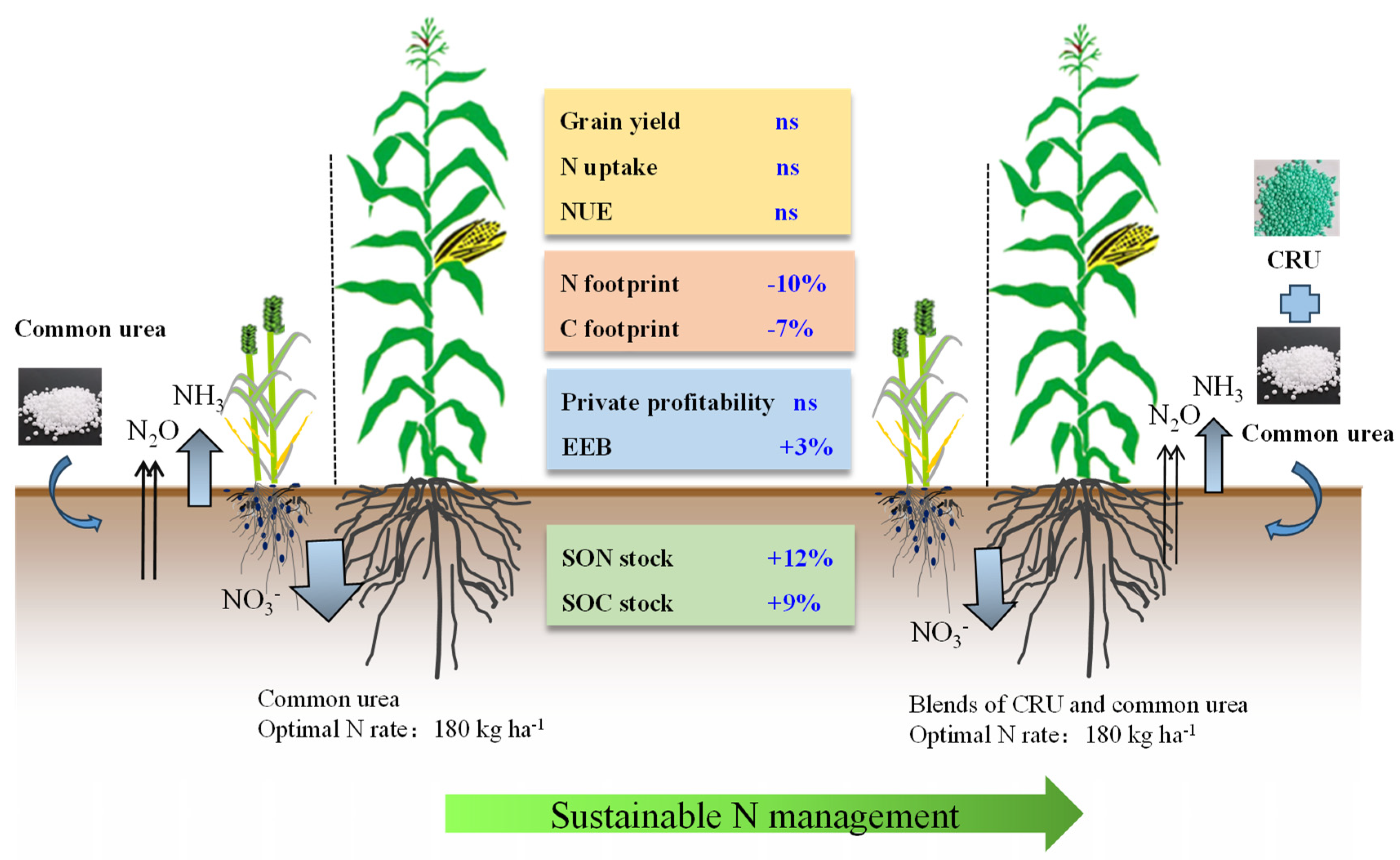 Plants 12 04085 g005