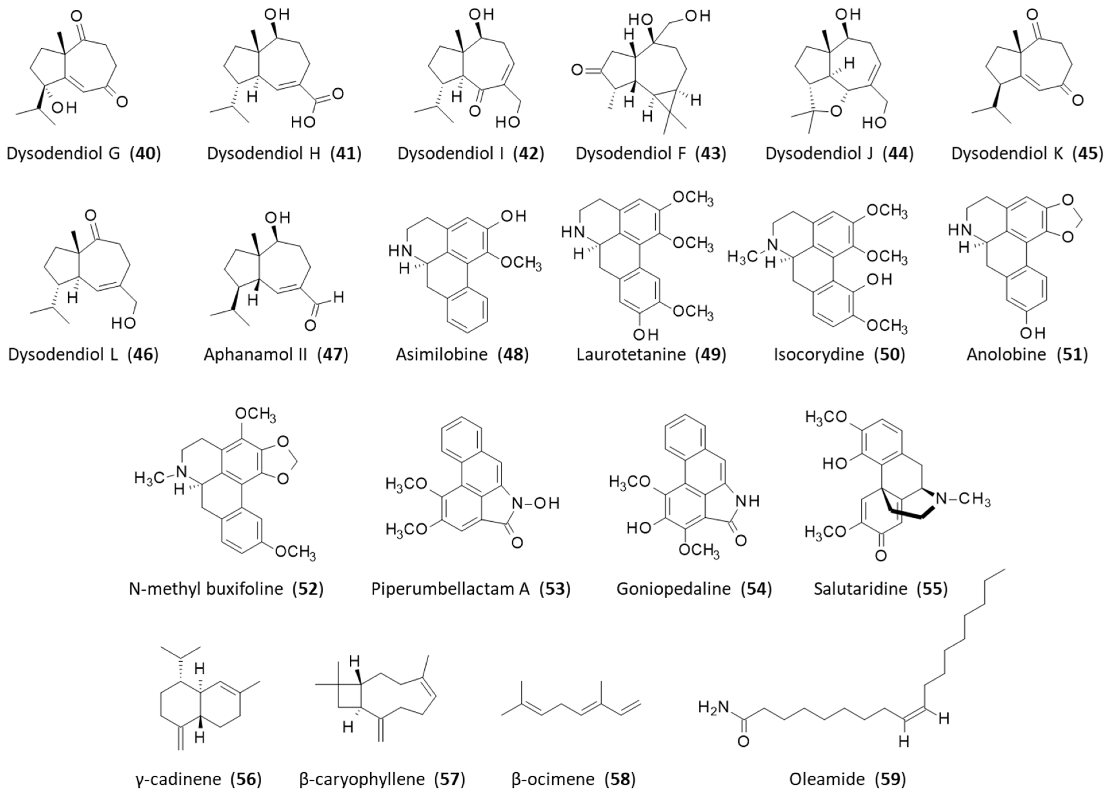 Plants 12 04094 g004