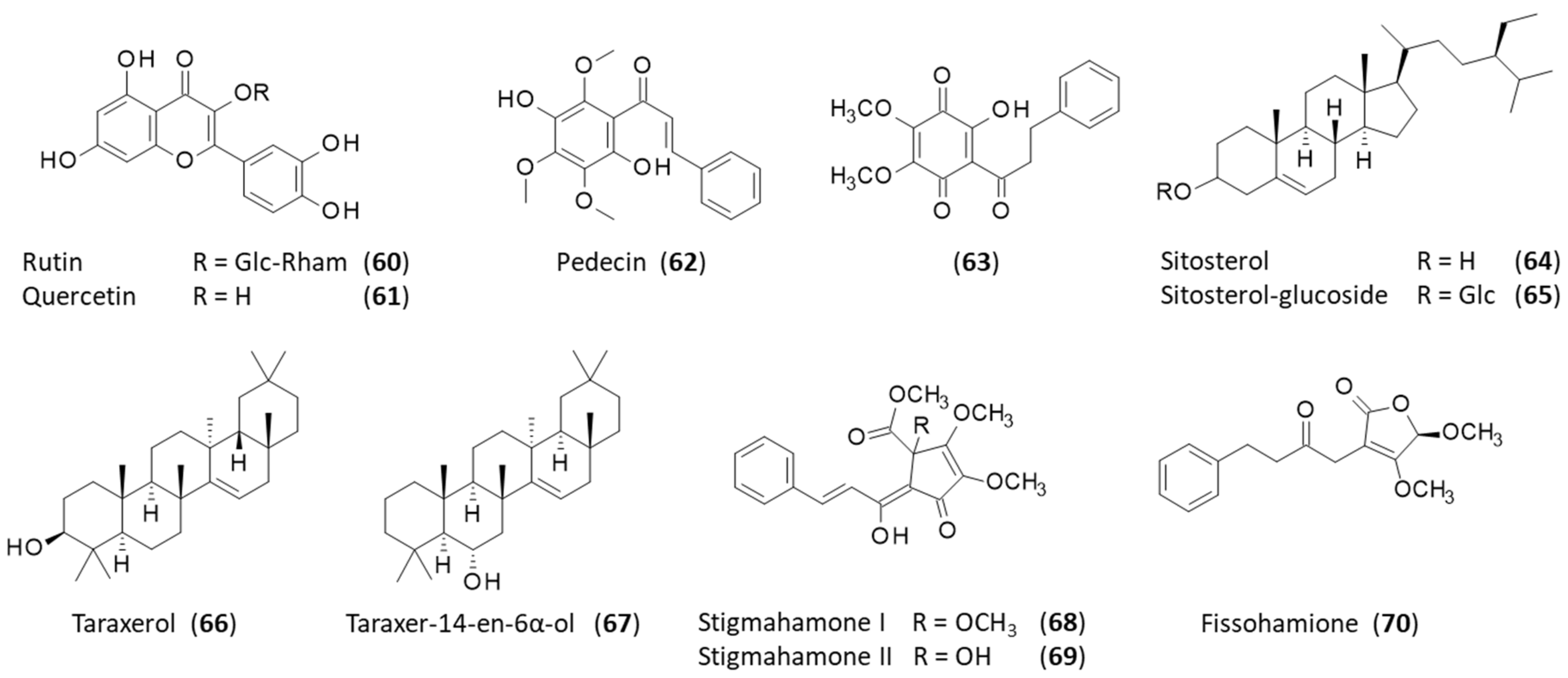 Plants 12 04094 g005