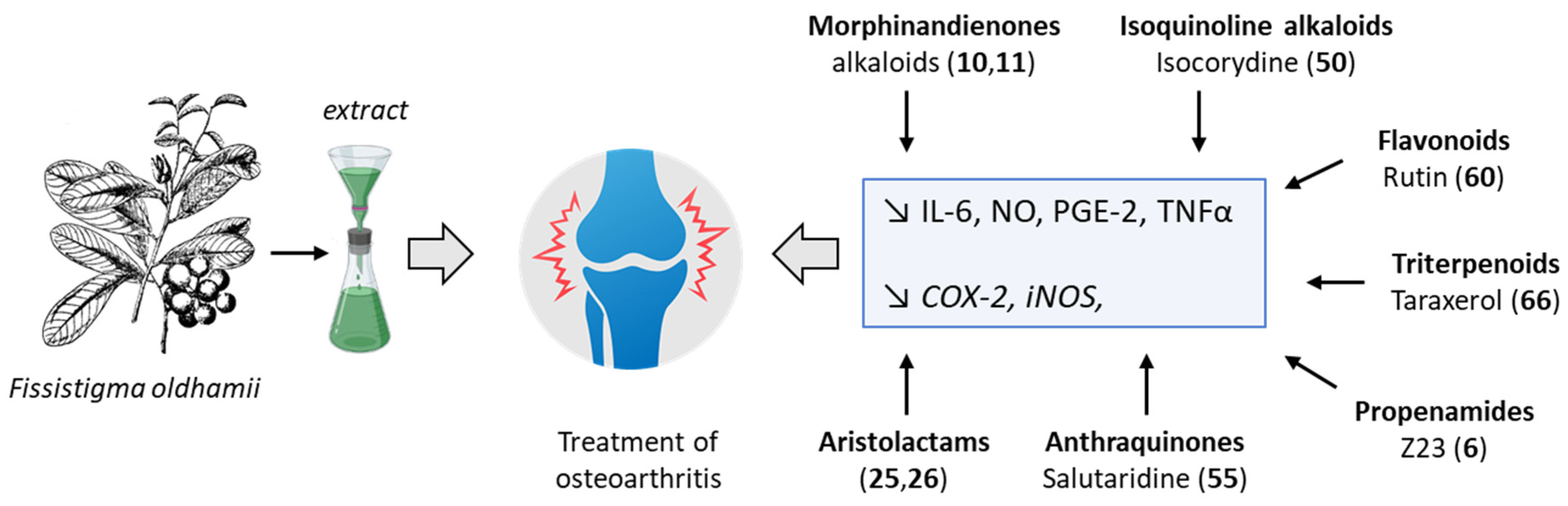 Plants 12 04094 g006