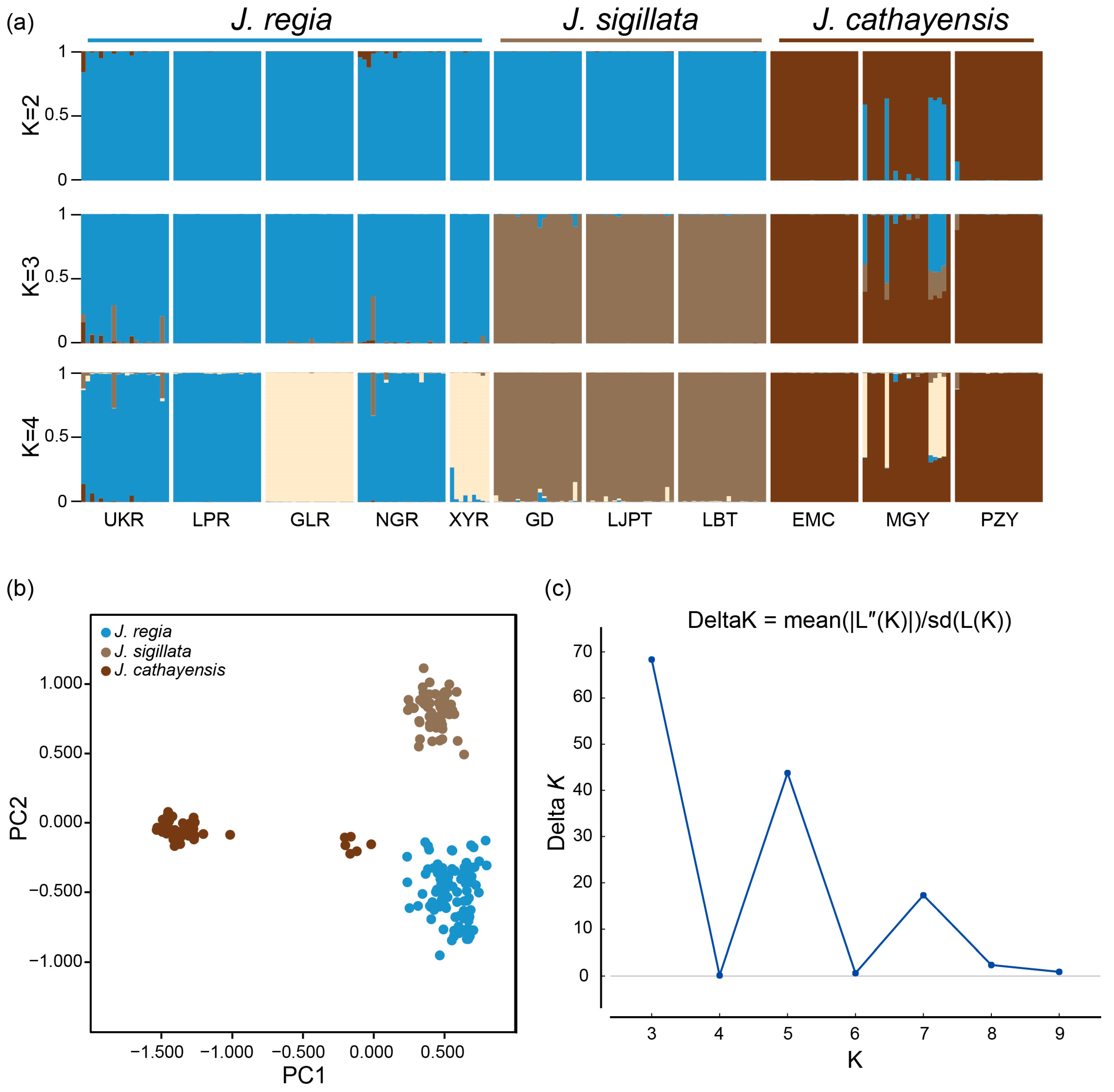 Plants 12 04101 g002 Plants 12 04101 g002