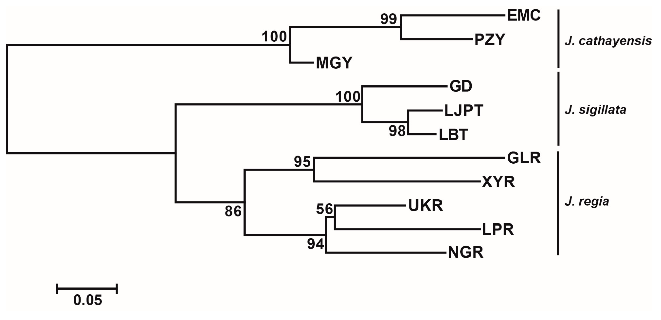 Plants 12 04101 g003 Plants 12 04101 g003