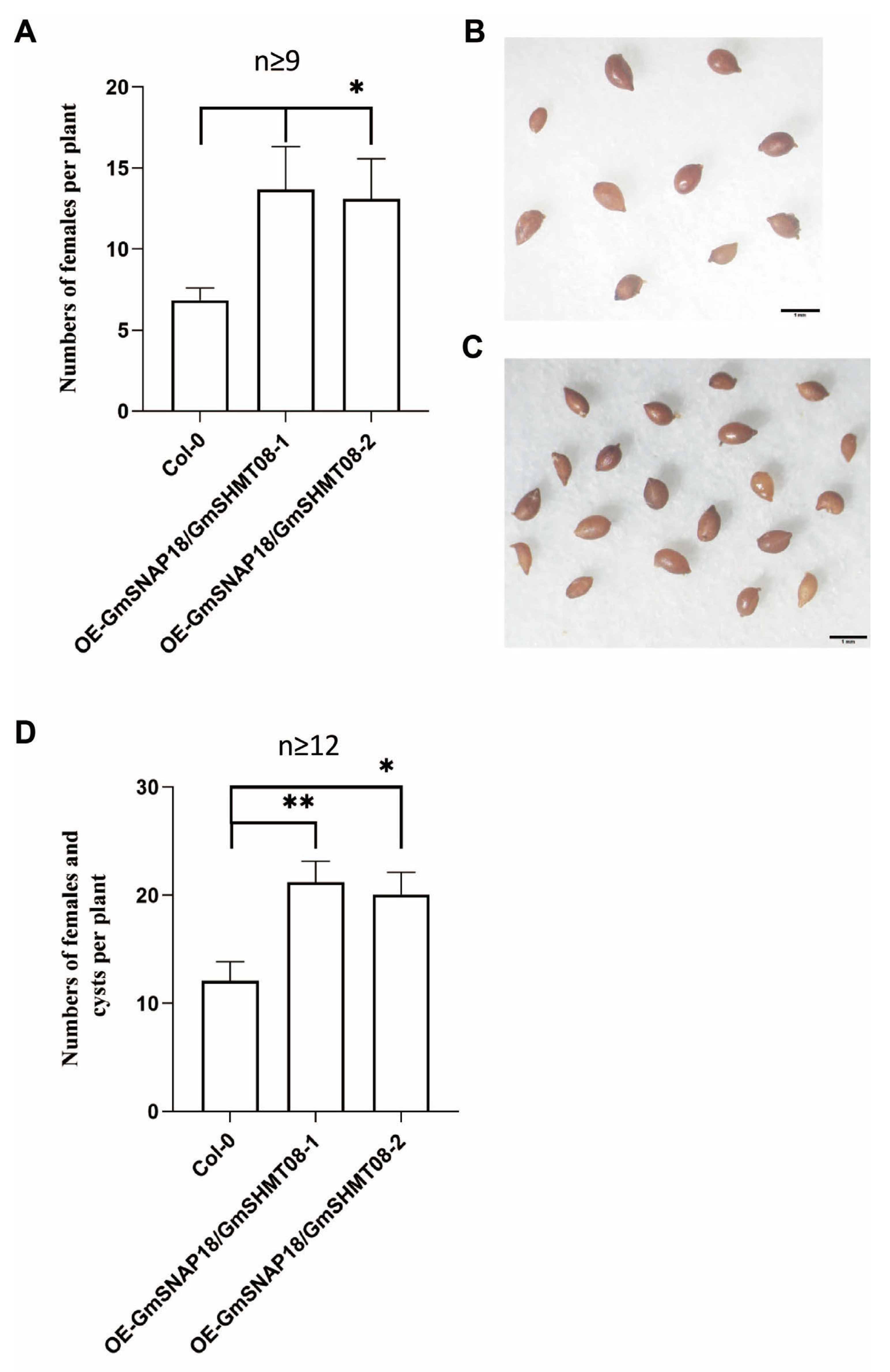 Plants 12 04118 g002