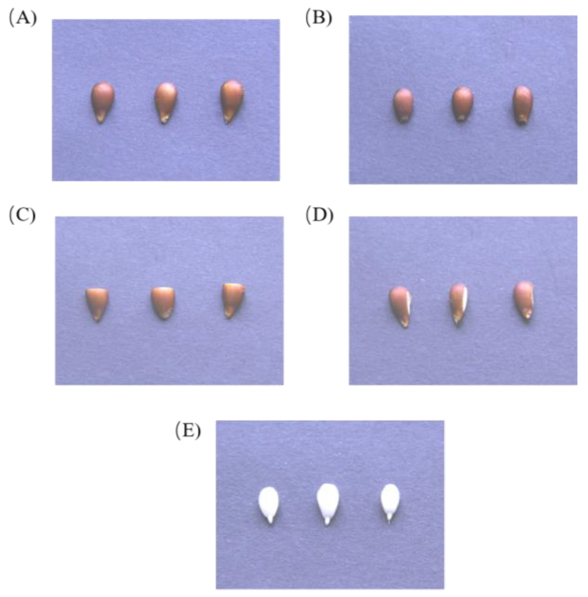 Plants 12 04120 g002
