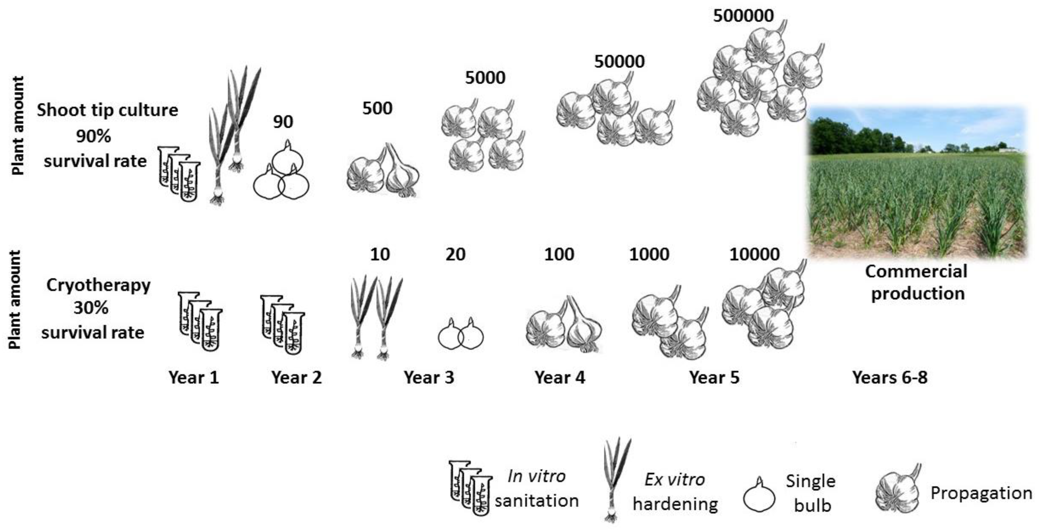 Plants 12 04125 g010
