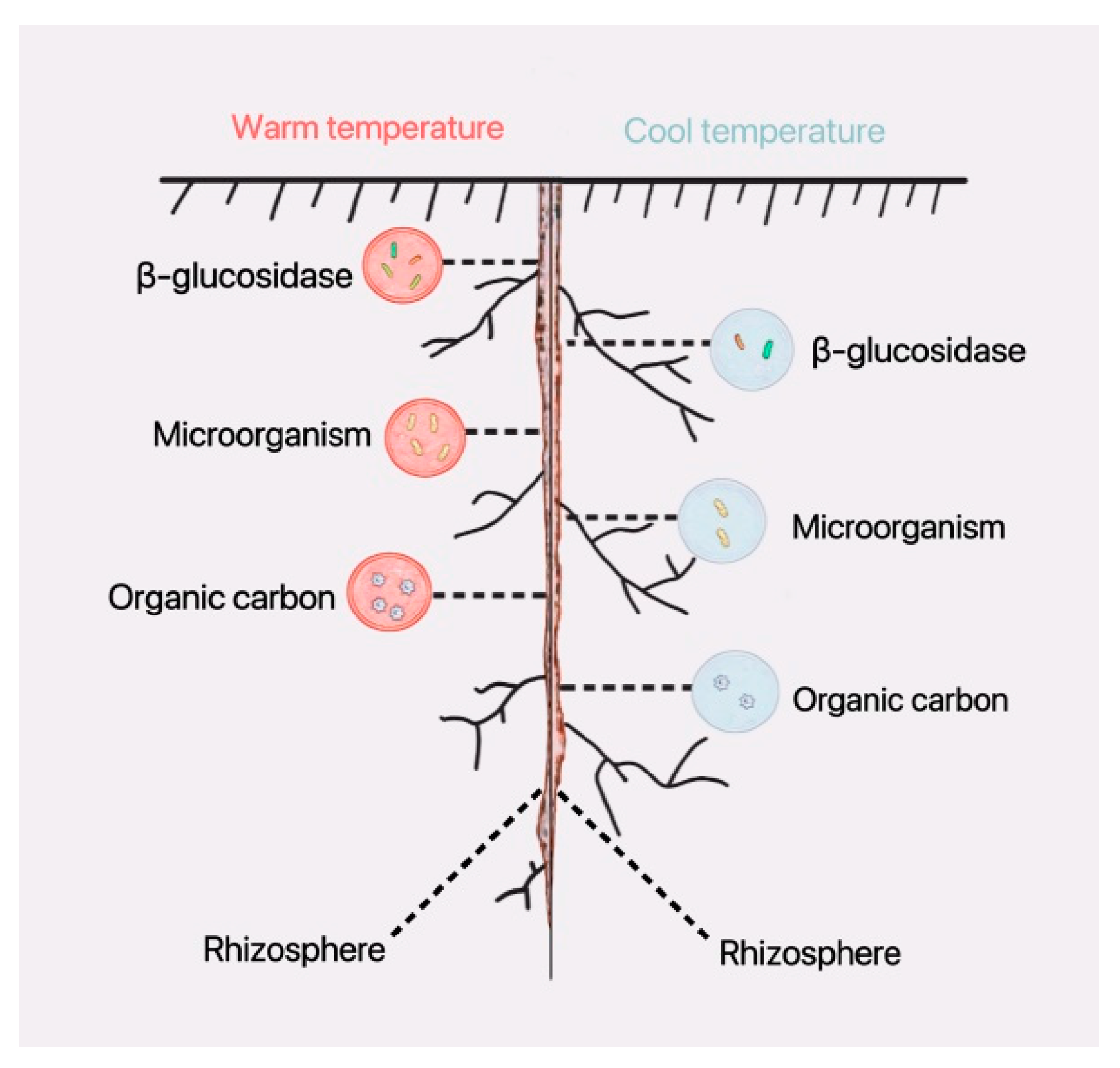 Plants 12 04135 g011