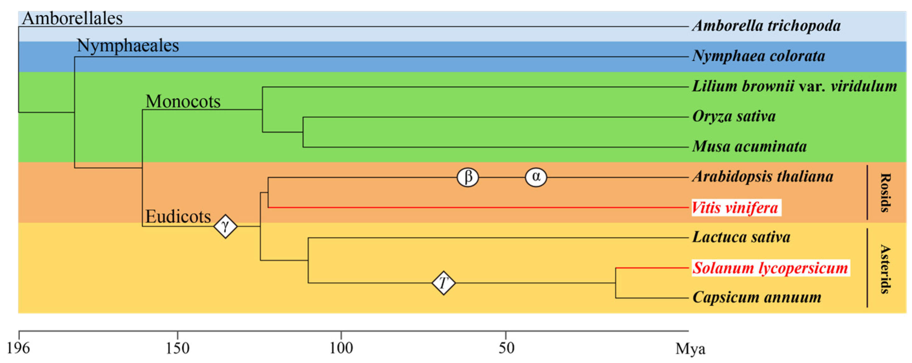 Plants 12 04145 g001