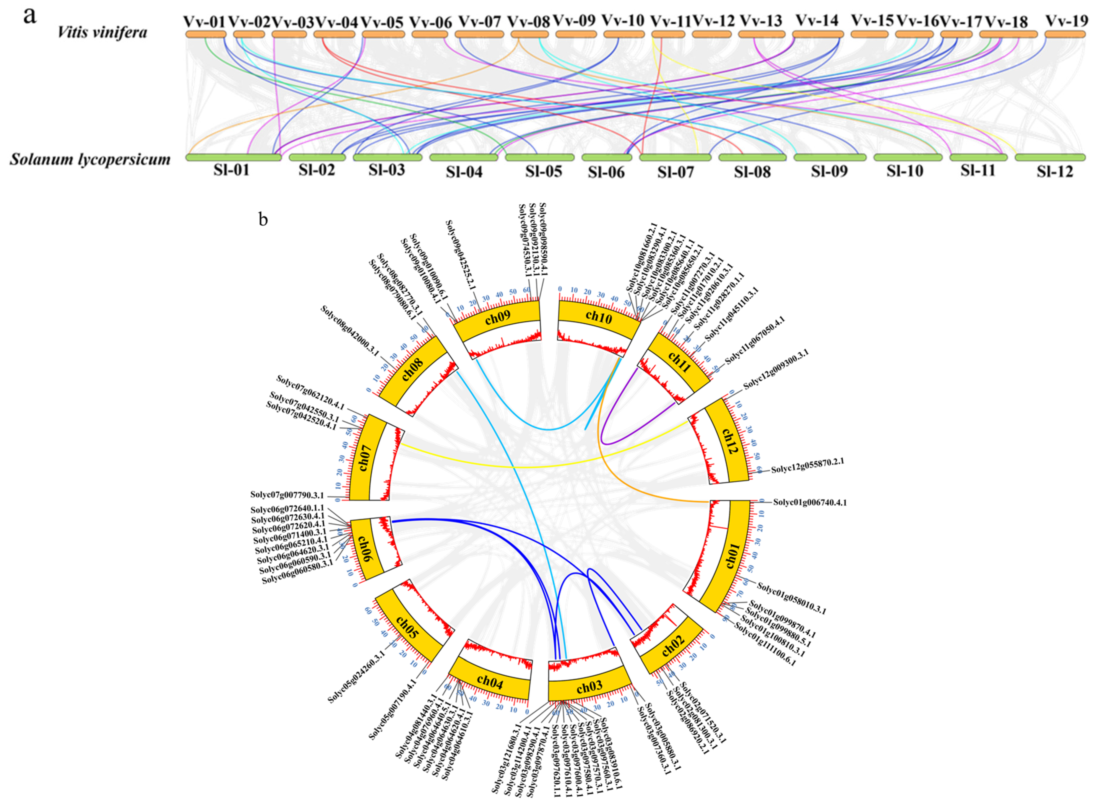 Plants 12 04145 g004