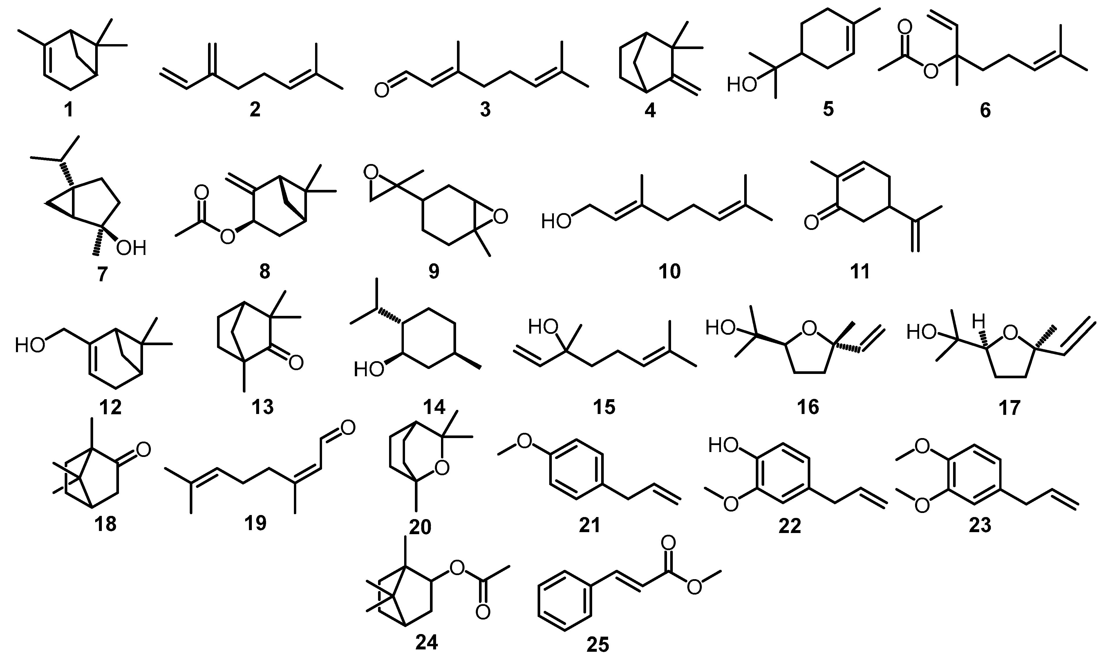 Plants 12 04148 g002