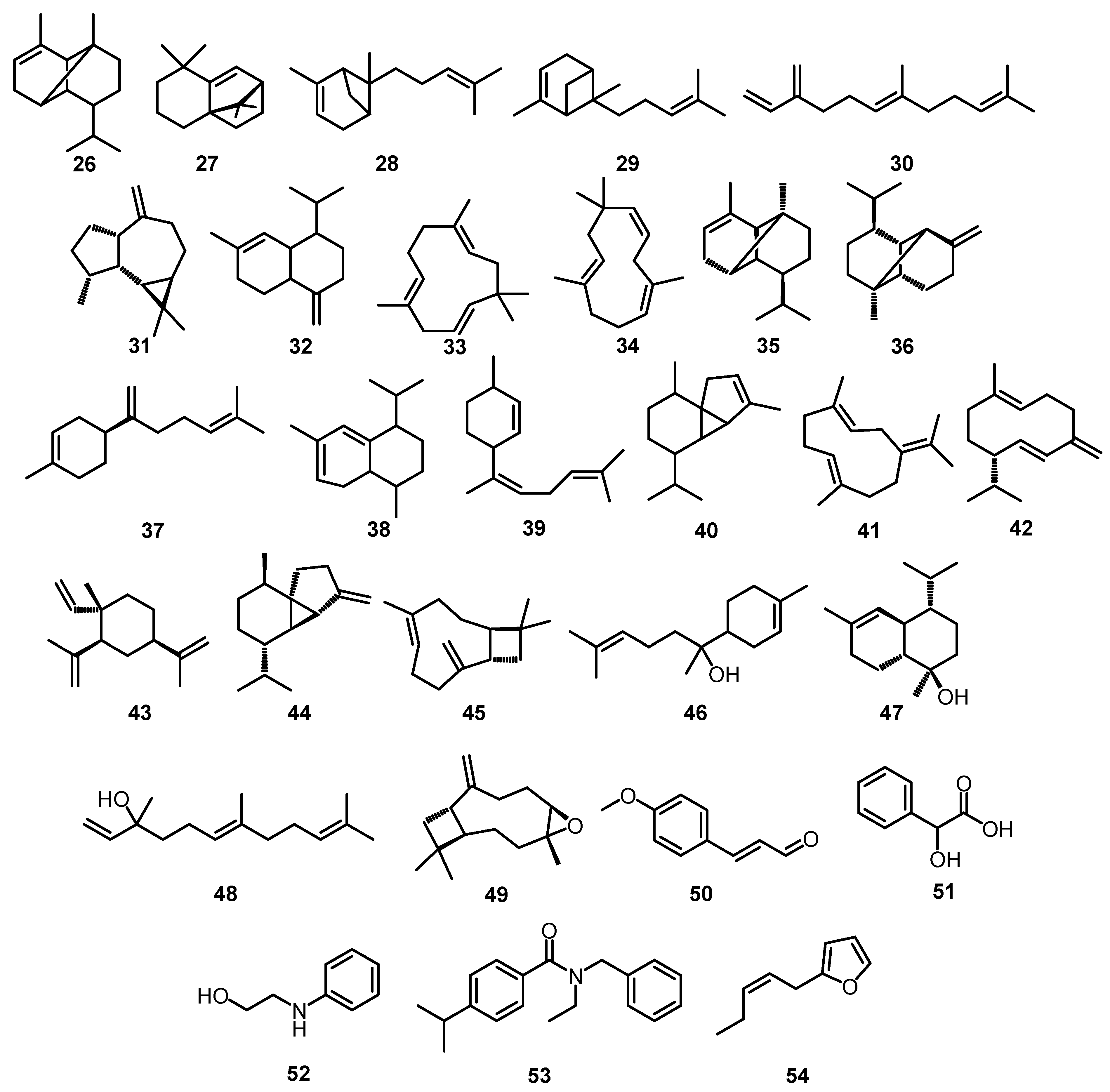 Plants 12 04148 g003