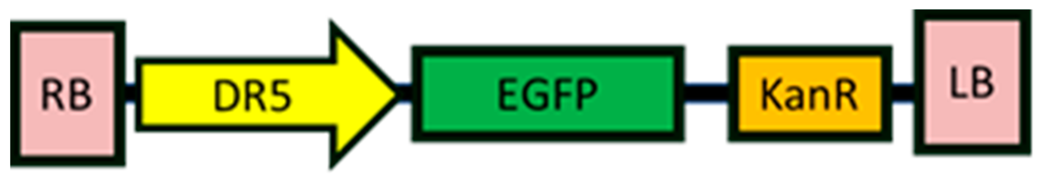 Plants 12 04149 g001