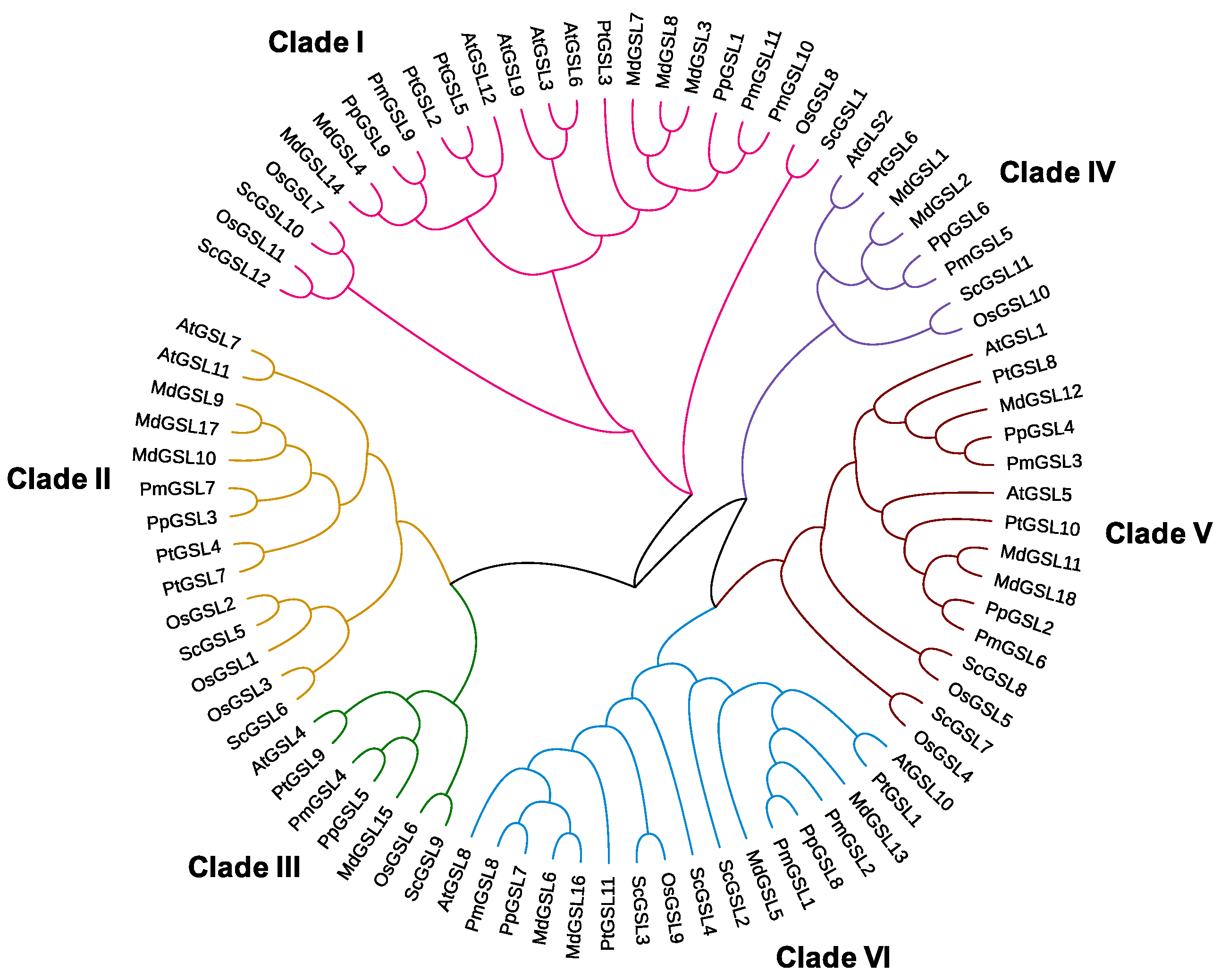 Plants 12 04159 g001