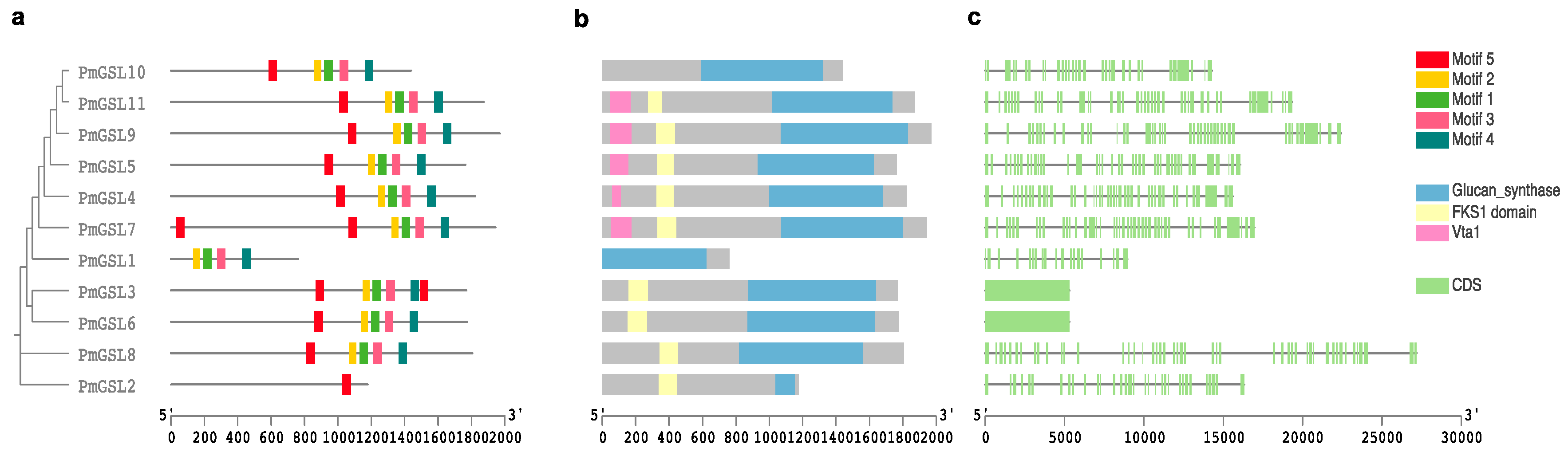 Plants 12 04159 g002