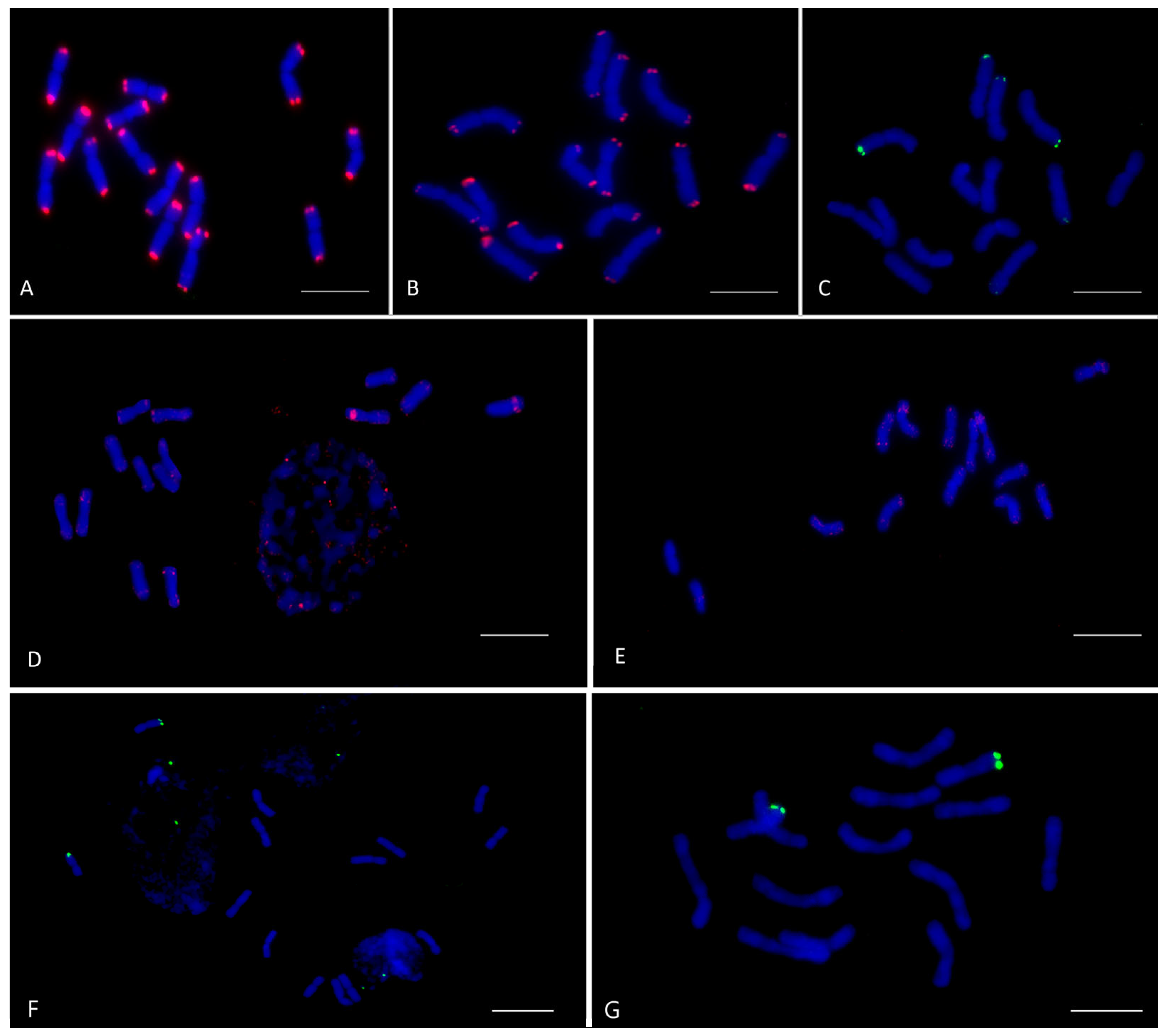 Plants 12 04169 g001