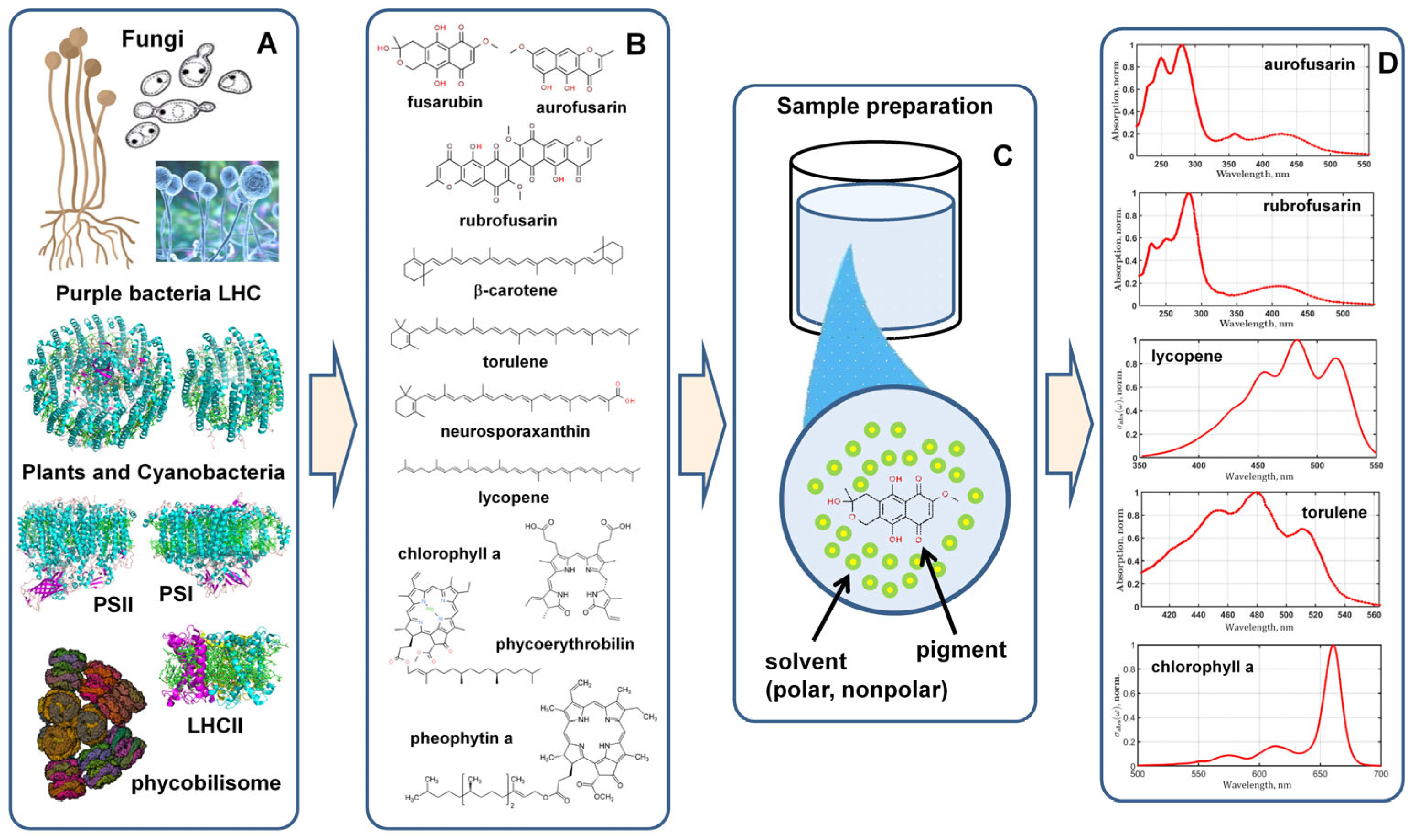 Plants 12 04178 g001