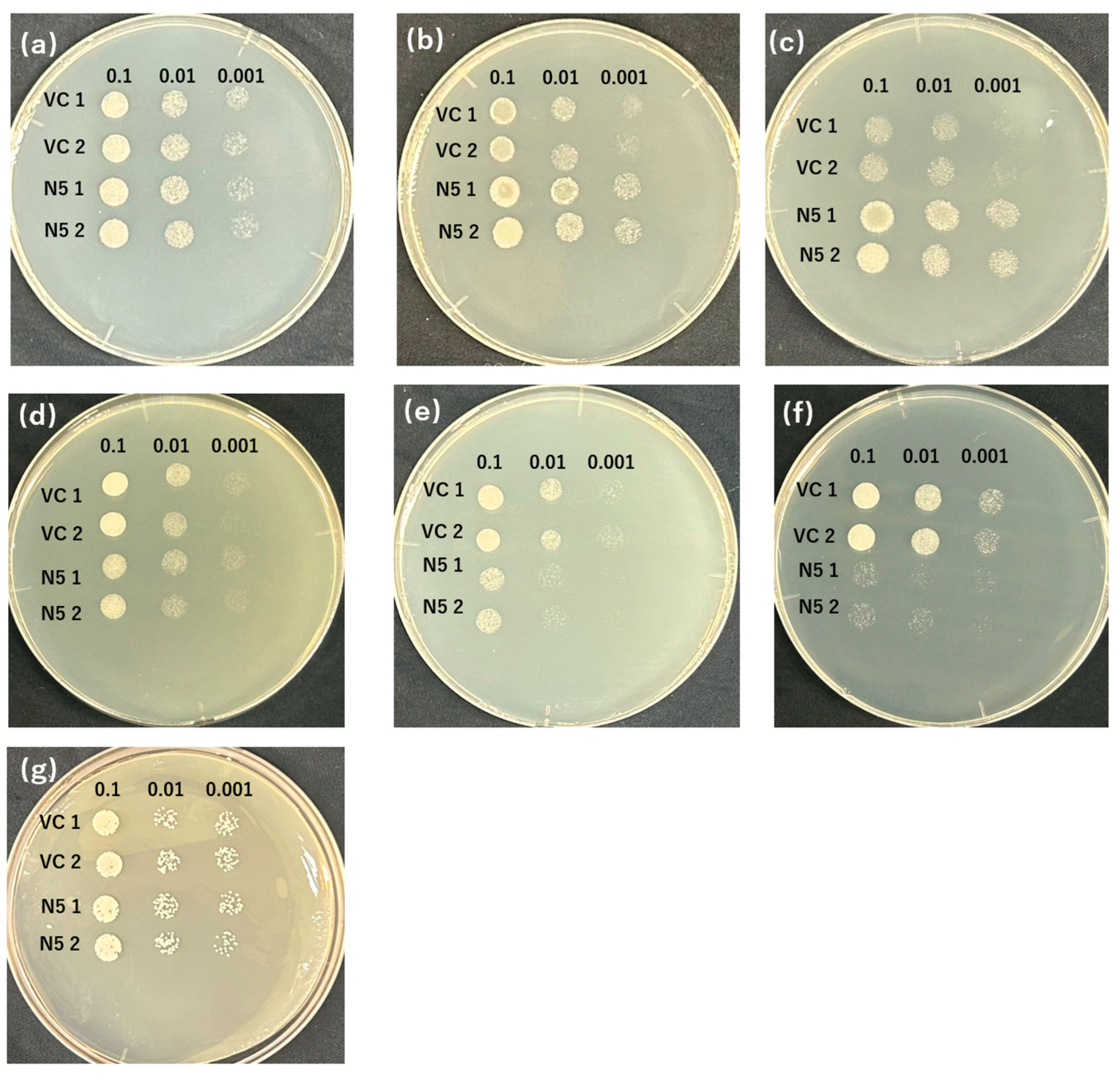 Plants 12 04182 g001