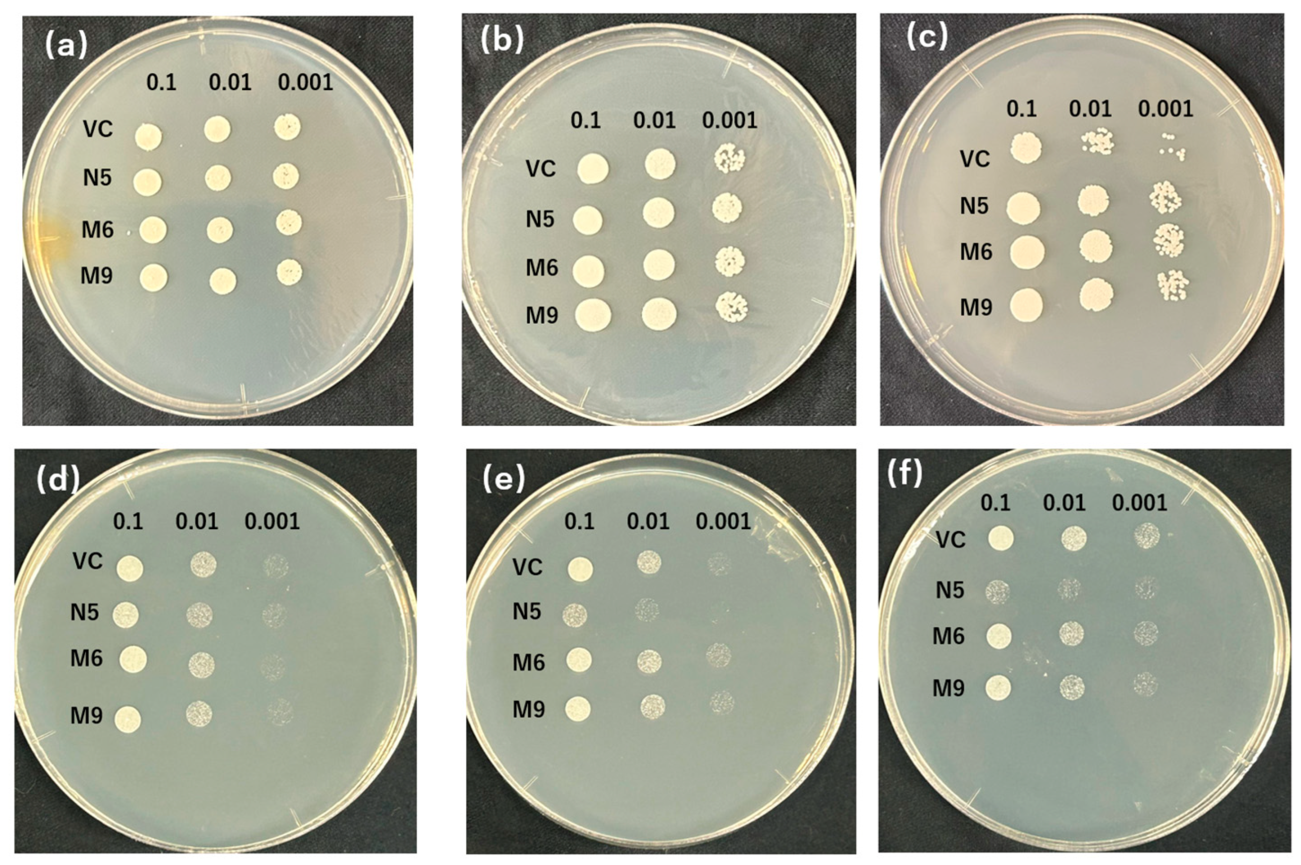 Plants 12 04182 g003
