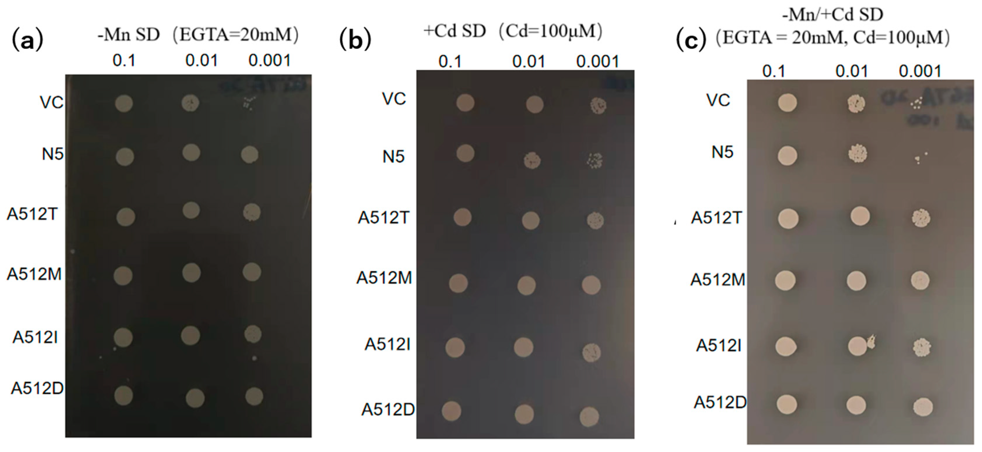 Plants 12 04182 g006