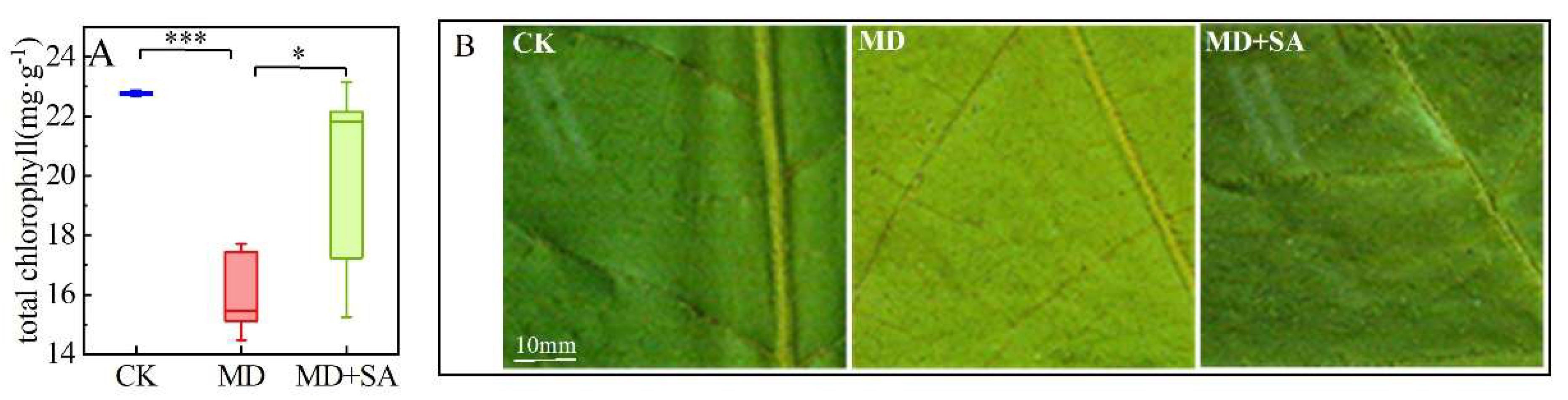 Plants 12 04187 g001 Plants 12 04187 g001