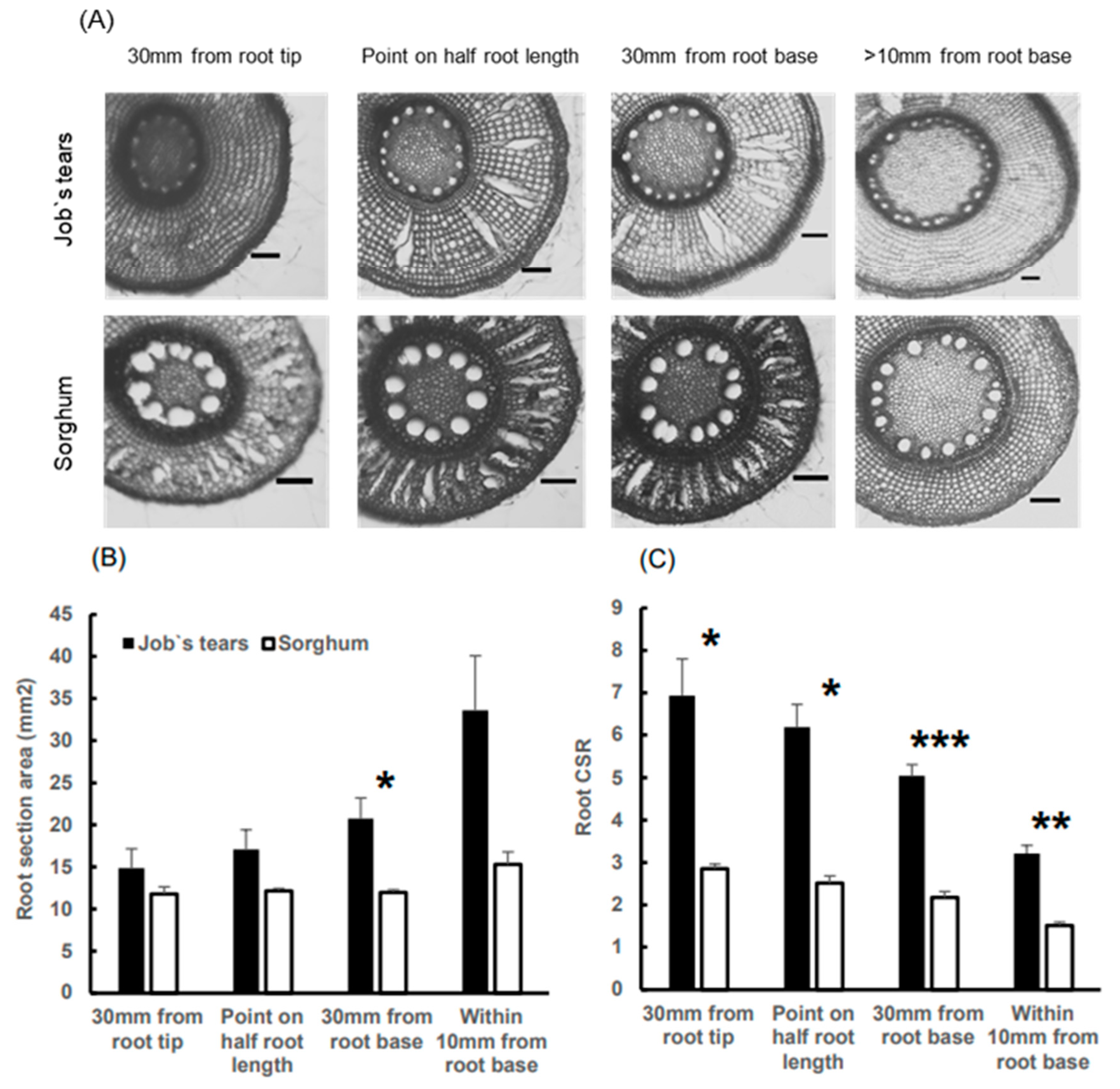 Plants 13 00003 g003