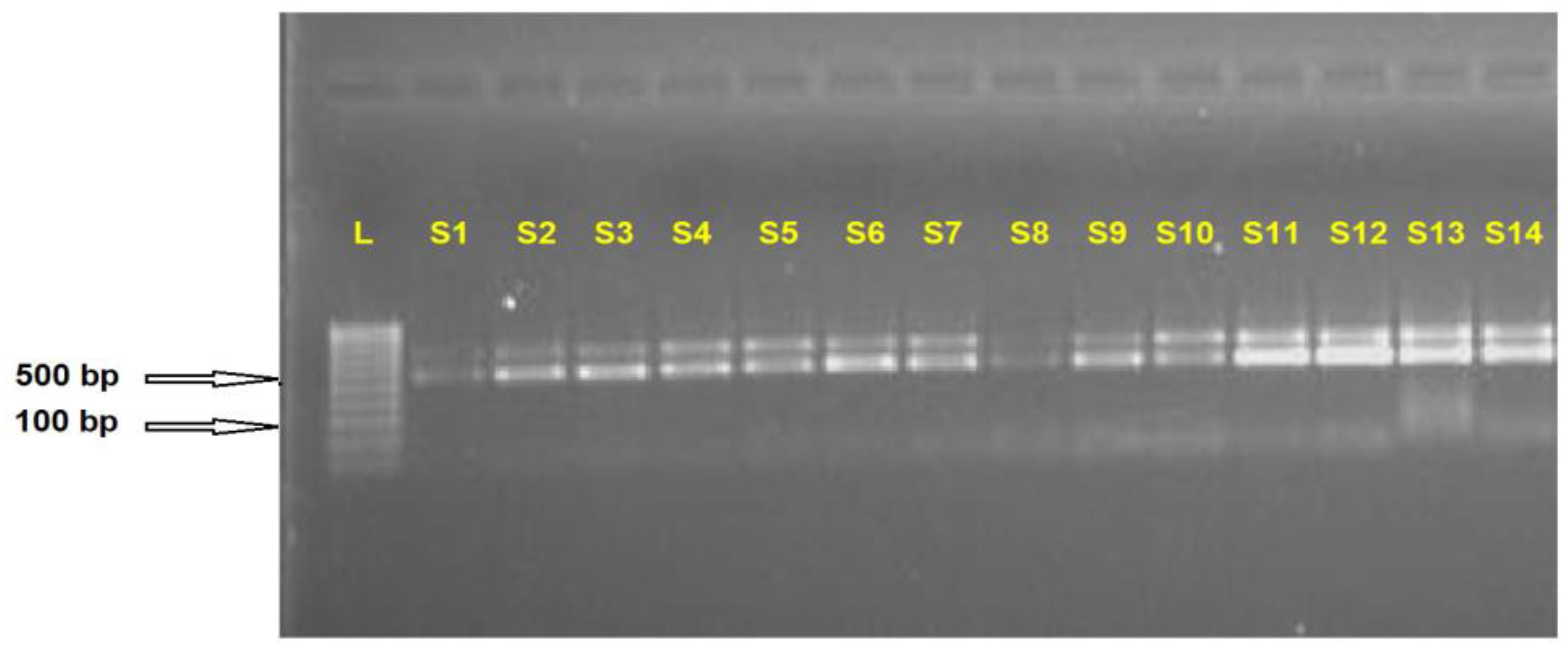 Plants 13 00005 g001 Plants 13 00005 g001
