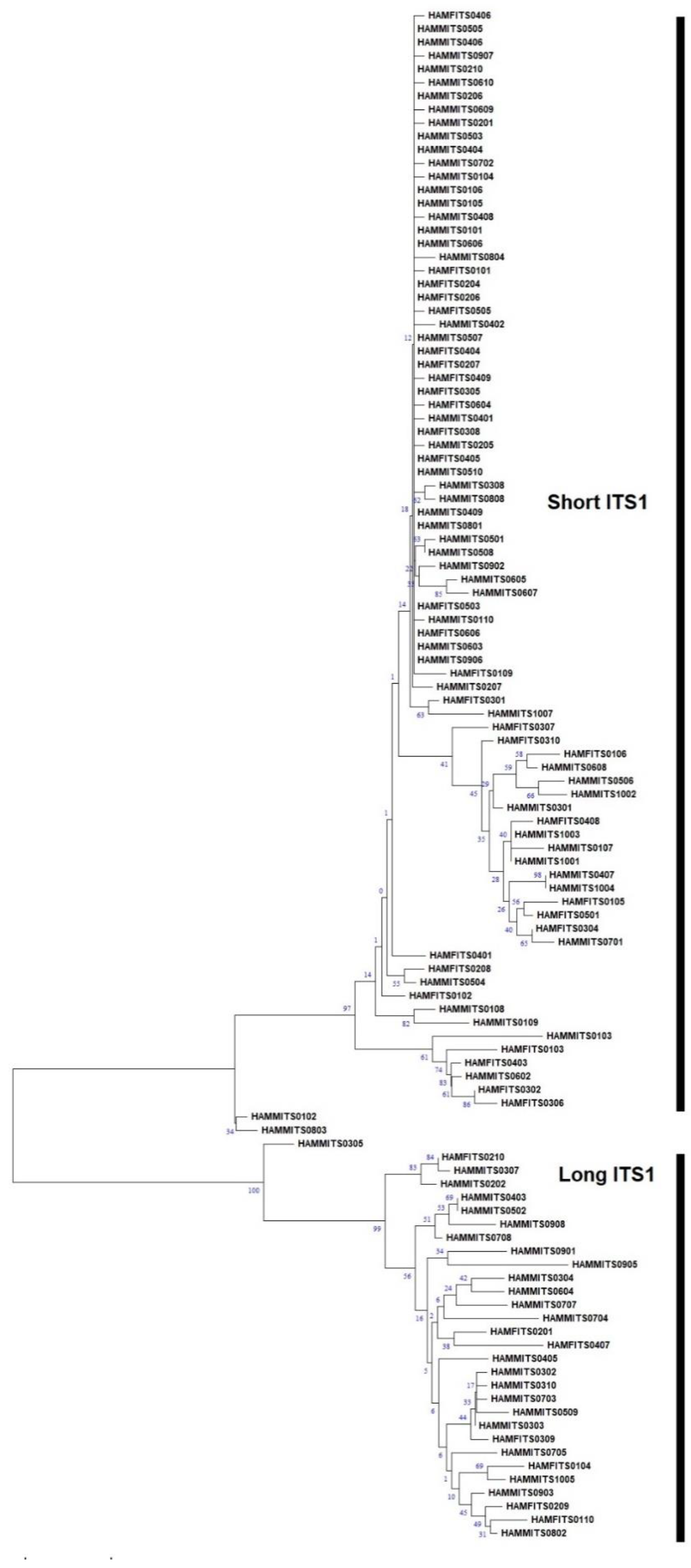 Plants 13 00005 g002 Plants 13 00005 g002