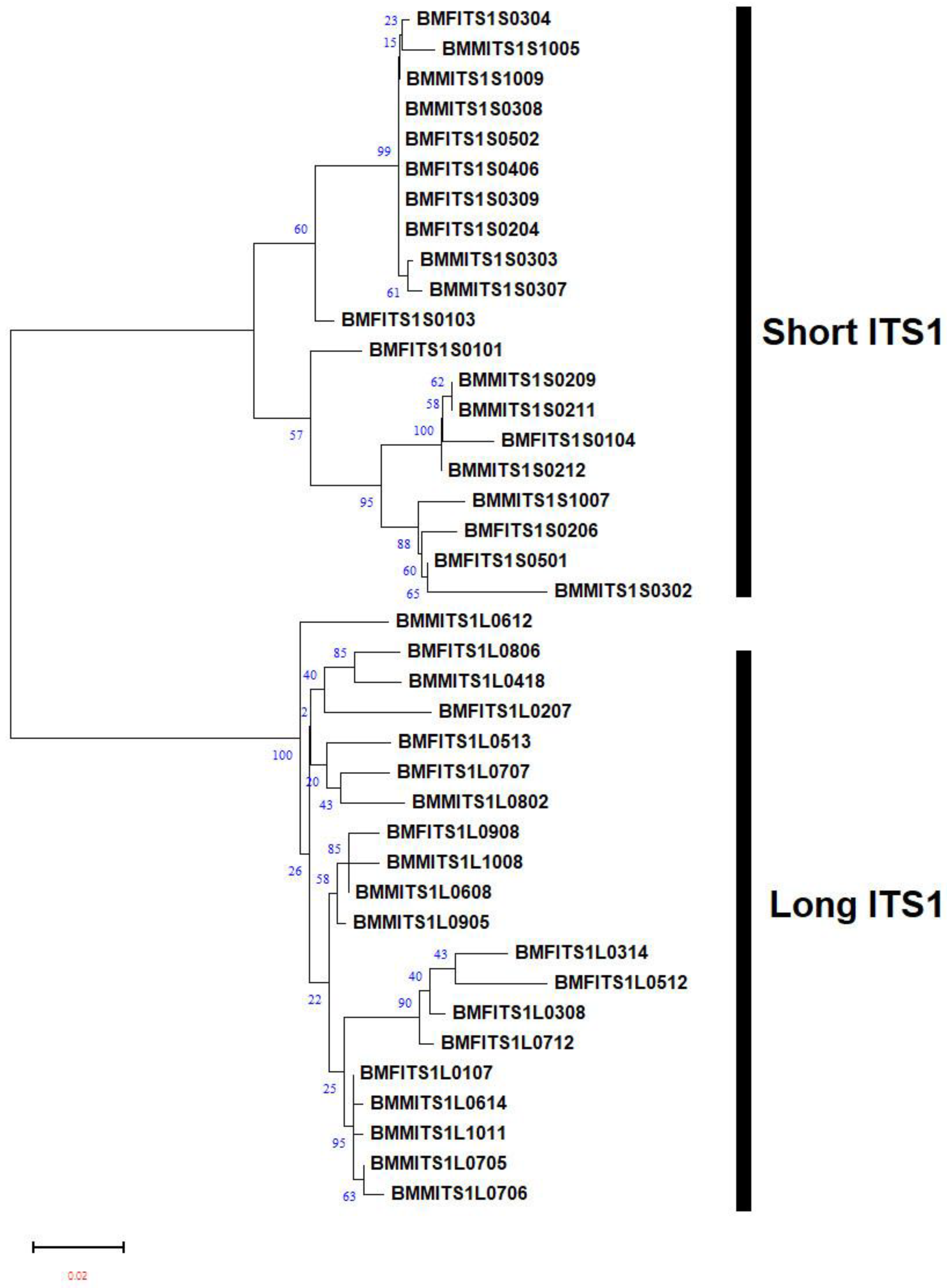 Plants 13 00005 g003 Plants 13 00005 g003