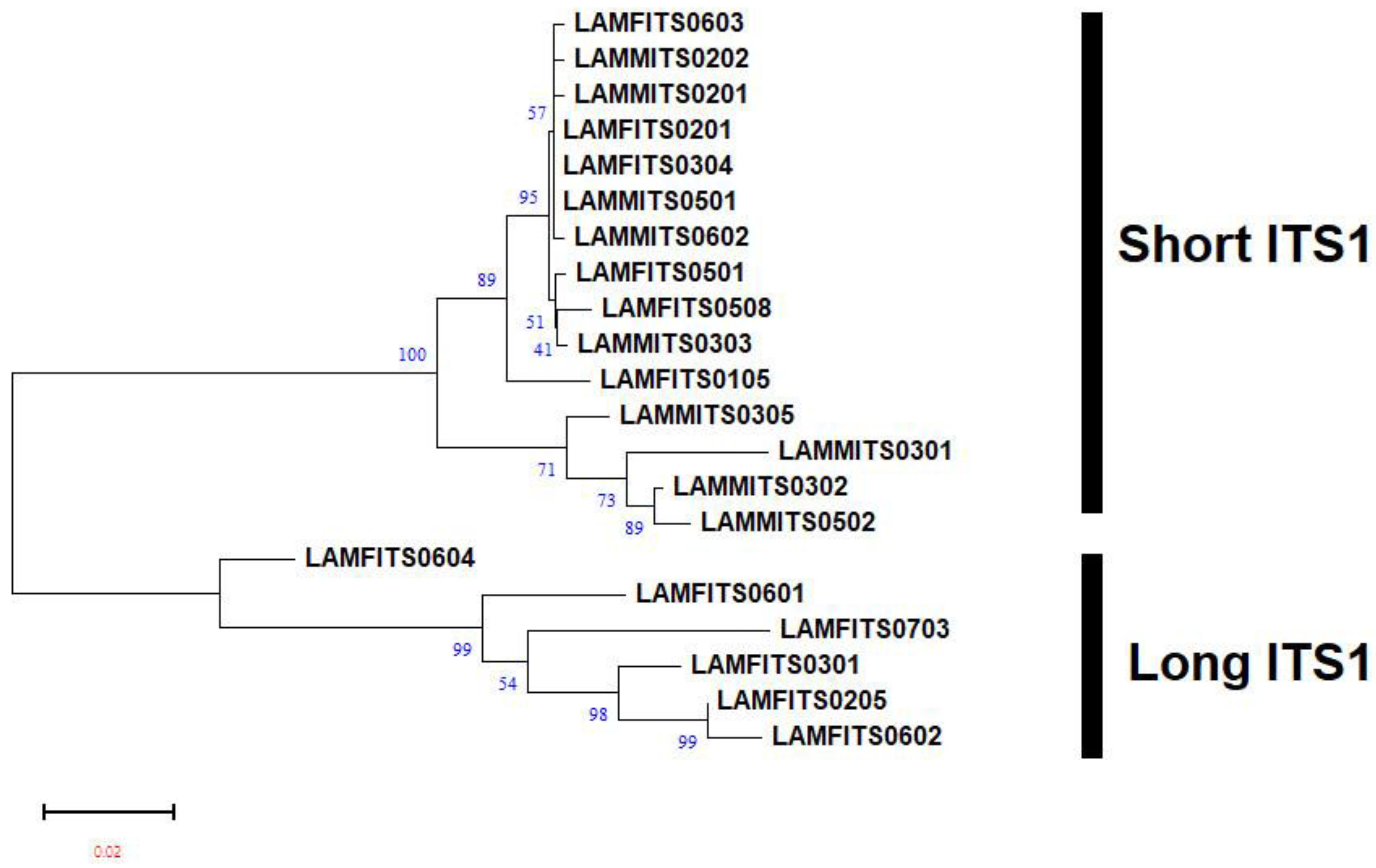 Plants 13 00005 g004 Plants 13 00005 g004