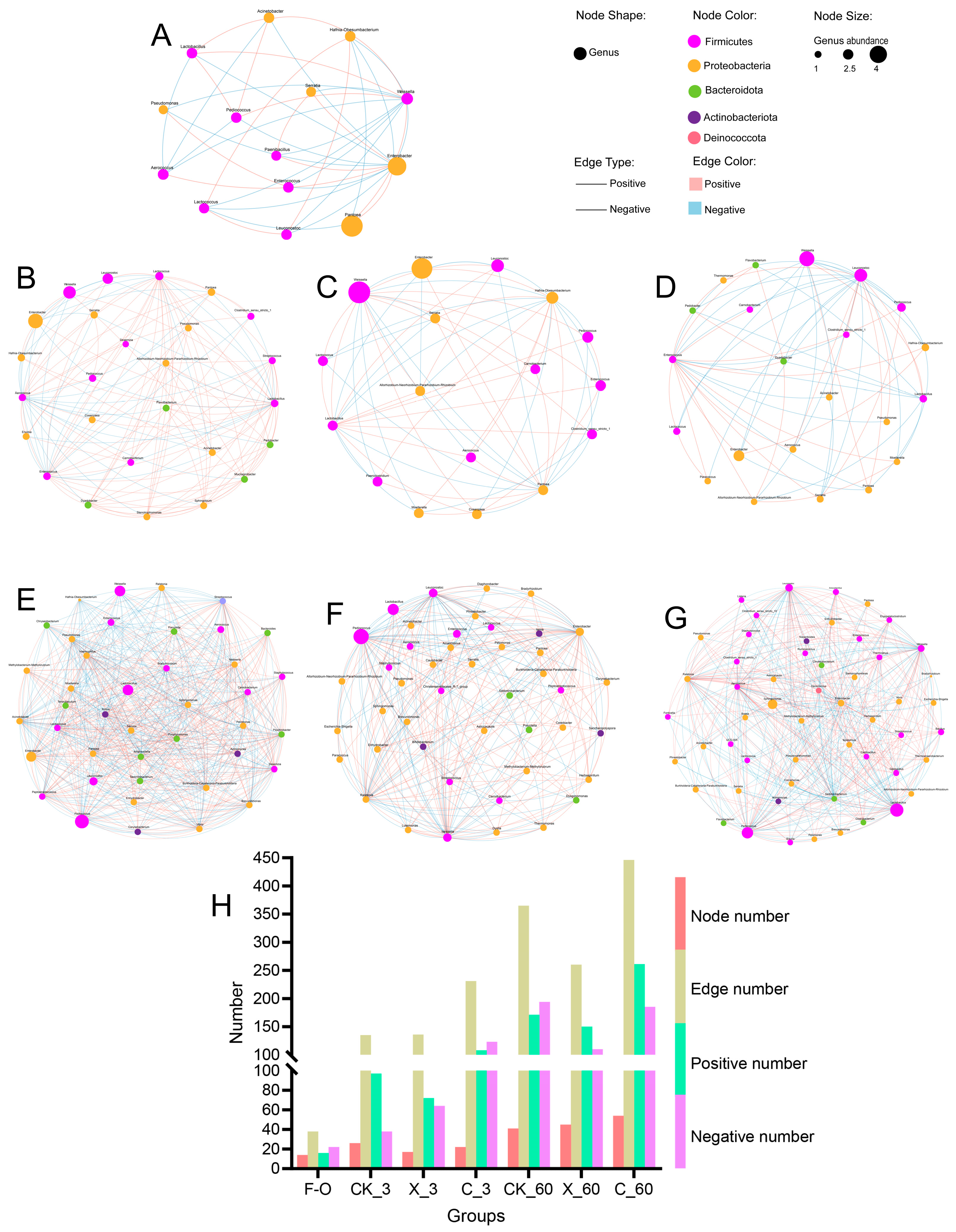 Plants 13 00006 g006